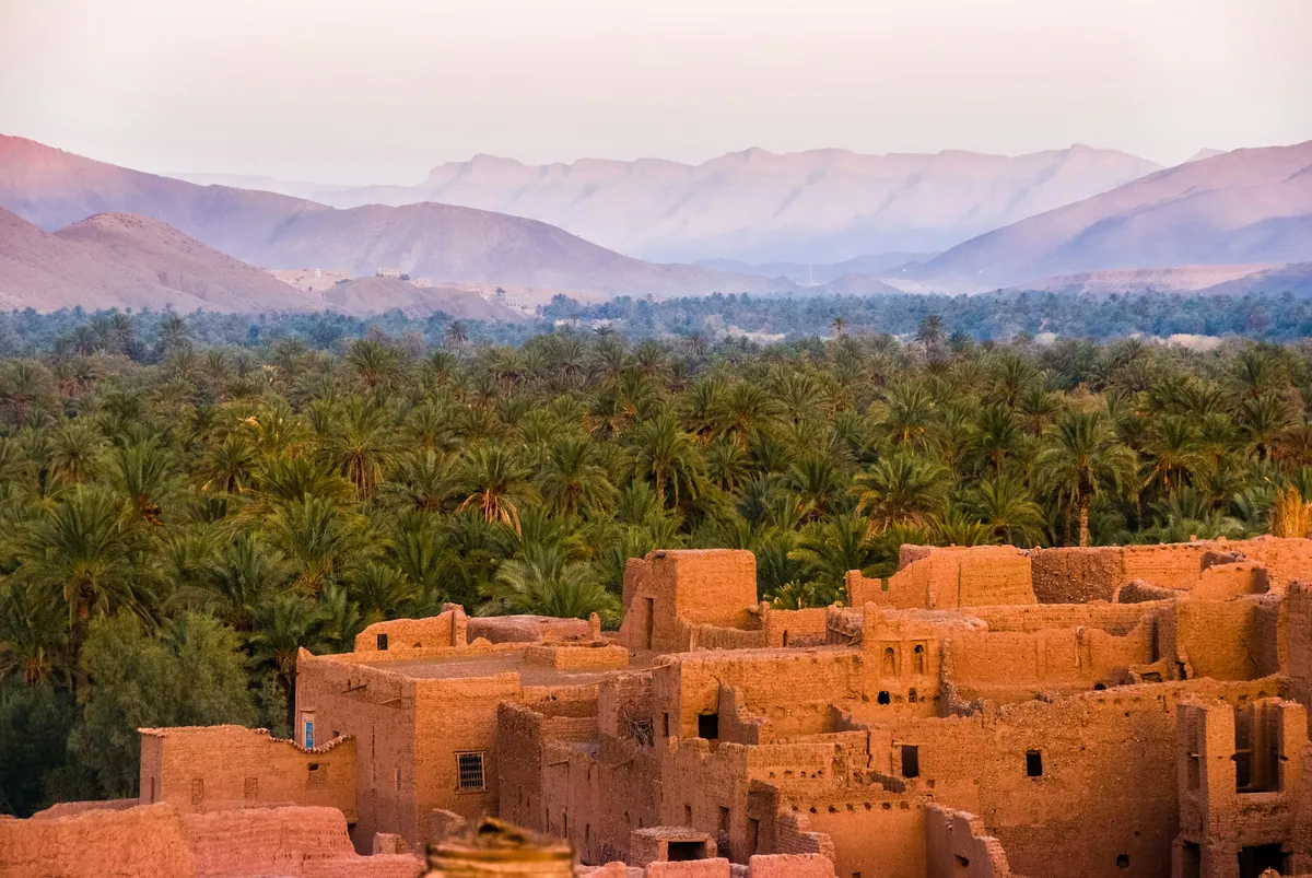 ShopNSave Morocco: Spices, Rugs & Leather โ A Bargaining Masterclass