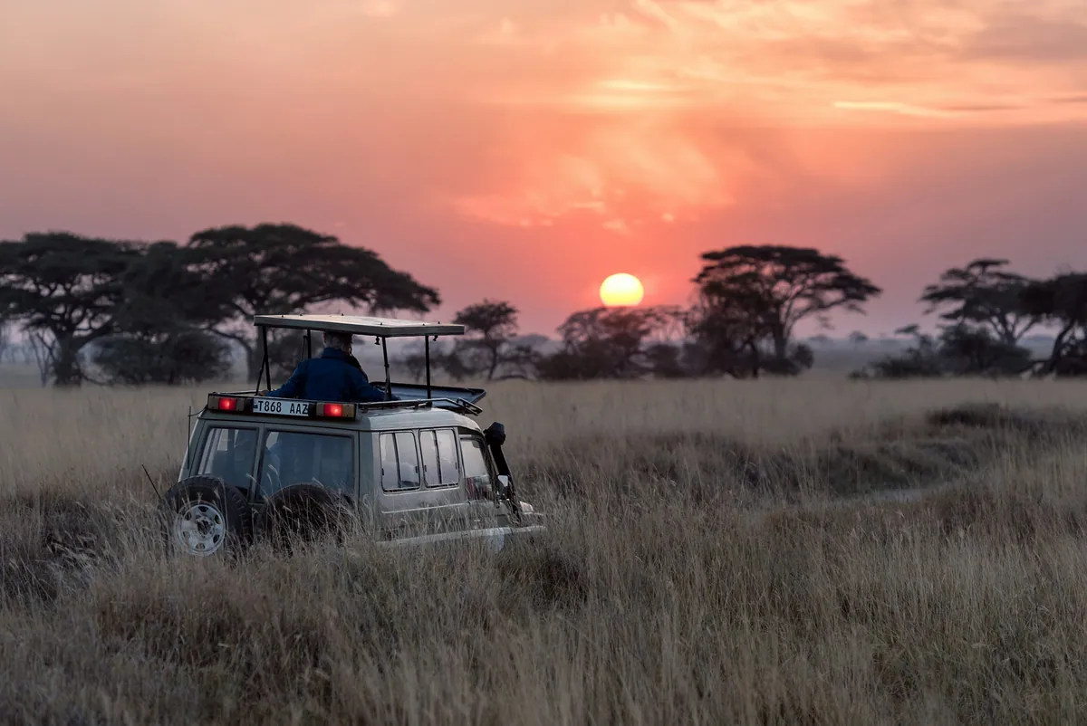 The Indian Traveler's Guide to African Luxury Safaris