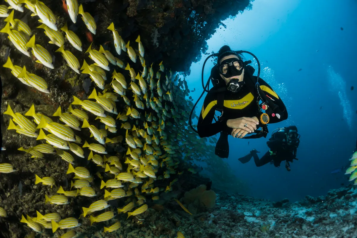 Fiji Island Honeymoon Retreat travel 1