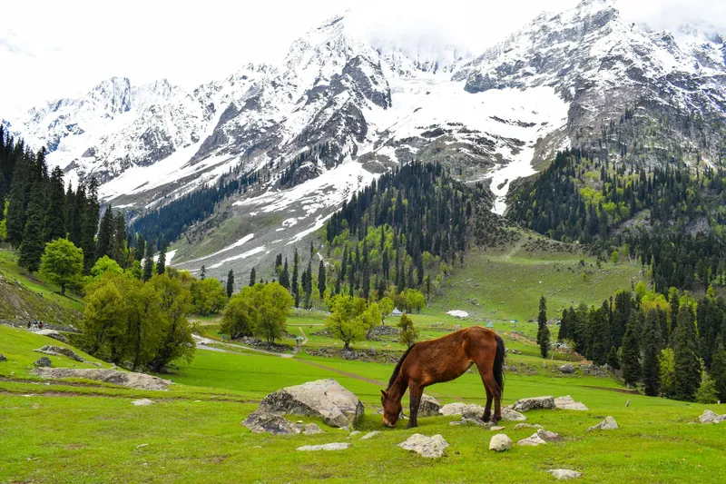 Nepal Himalayan Adventure Sprint travel 2