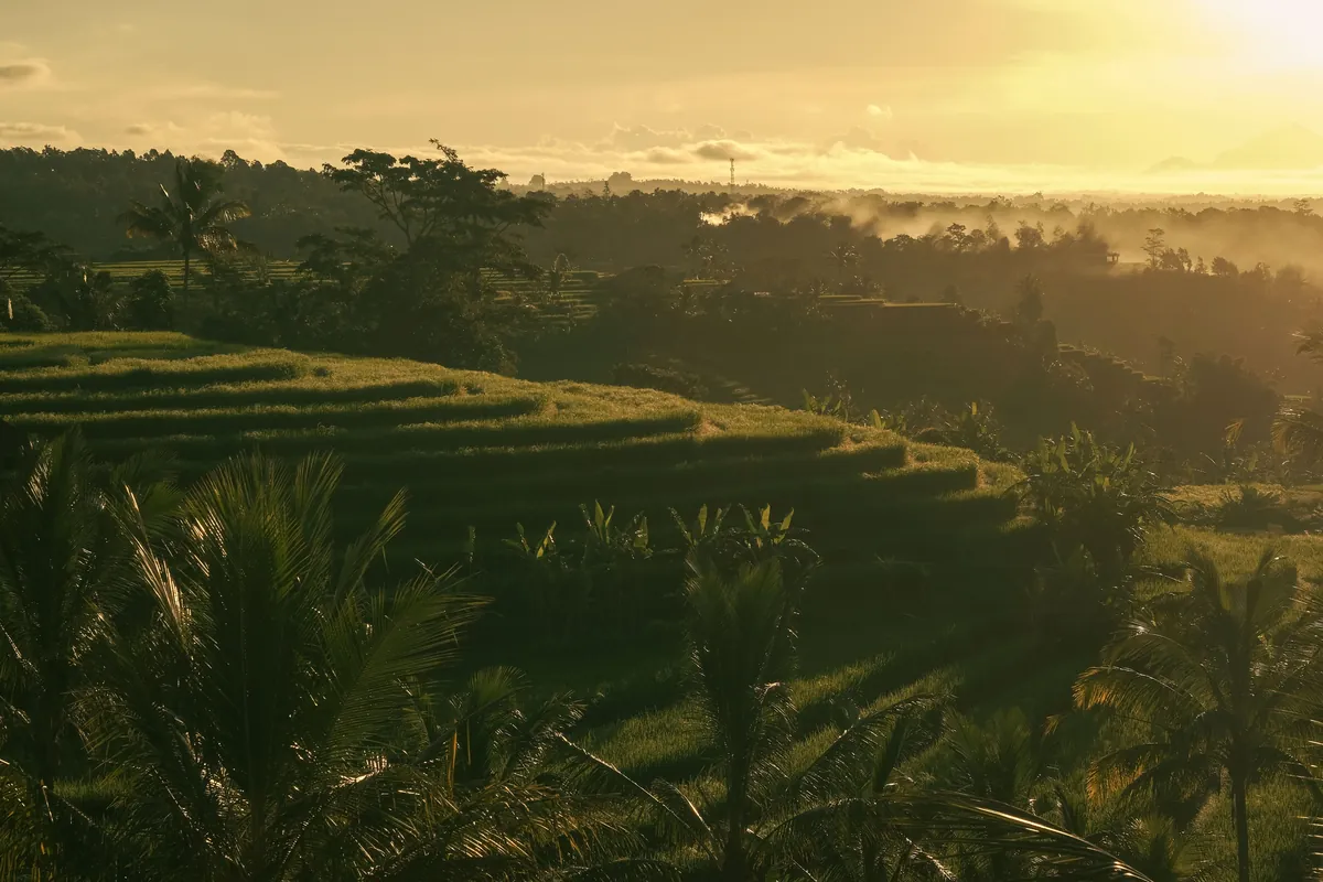 Bali Beach + Ubud Wellness travel 1