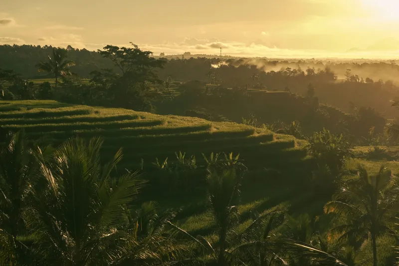 Bali Beach + Ubud Wellness