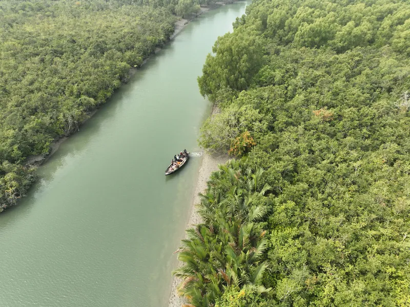 Bangladesh Sundarbans Tigers