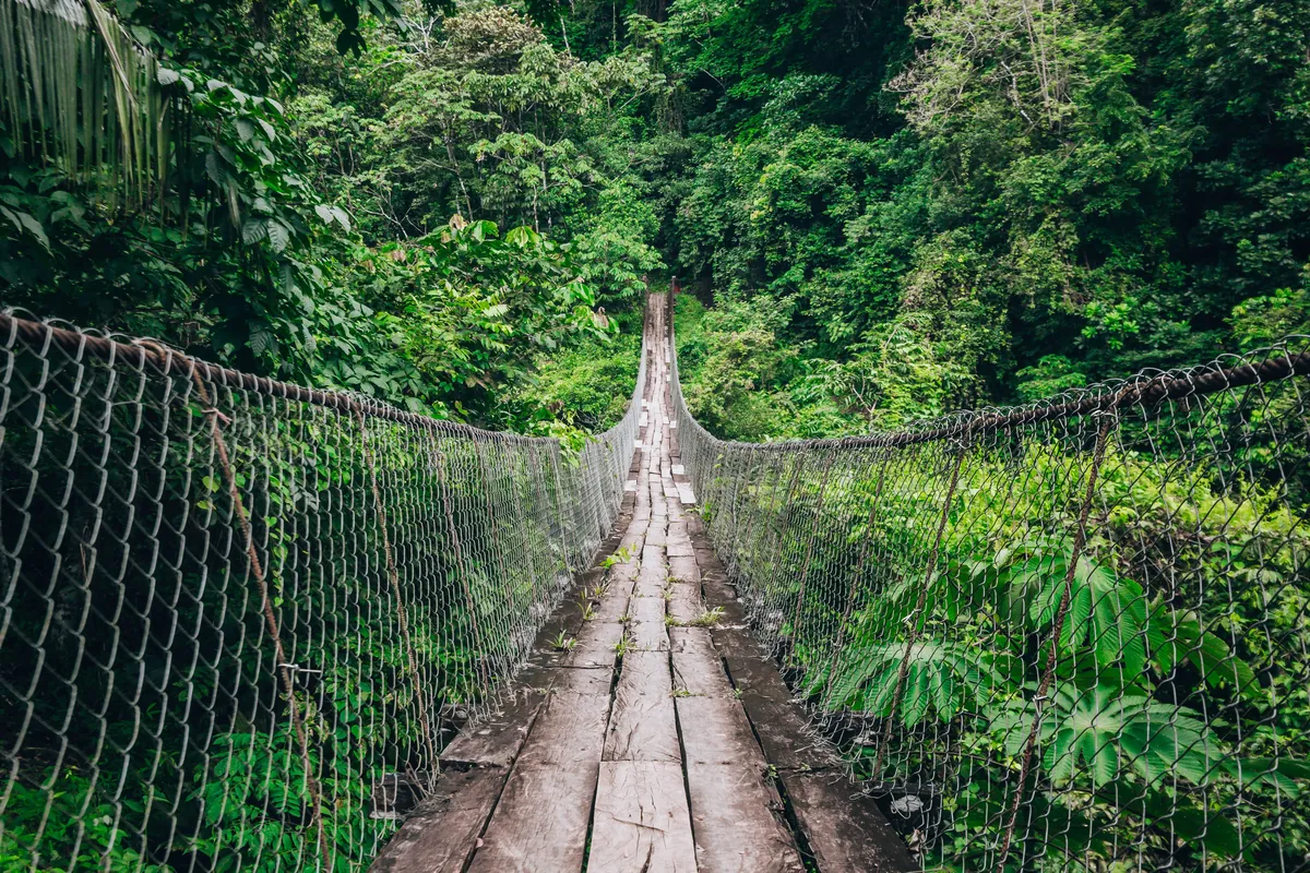 Monteverde Cloud Forest Canopy travel 1