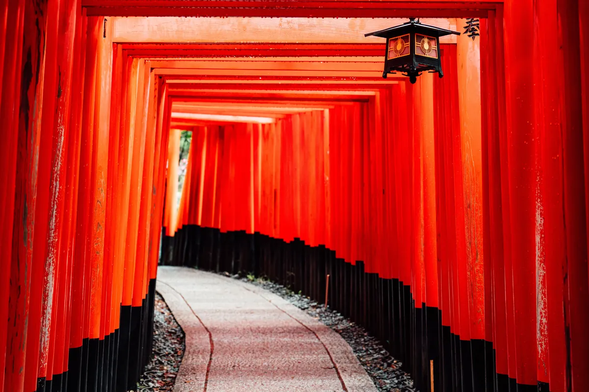 Kyoto Geisha District Nights travel 1