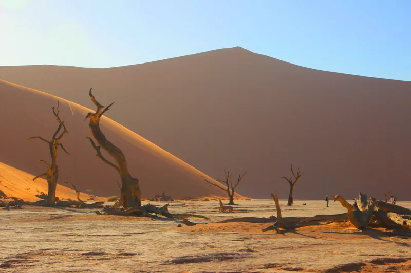 Namibia Sossusvlei + Skeleton Coast