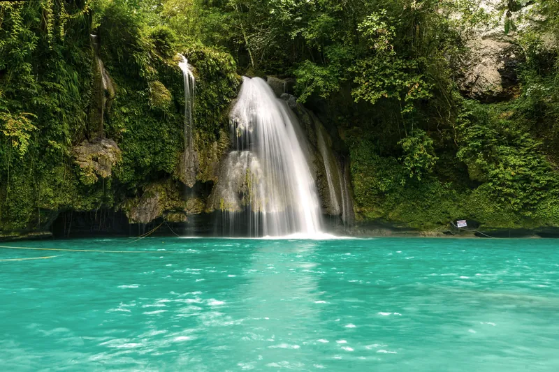 Cebu Whale Sharks + Waterfalls