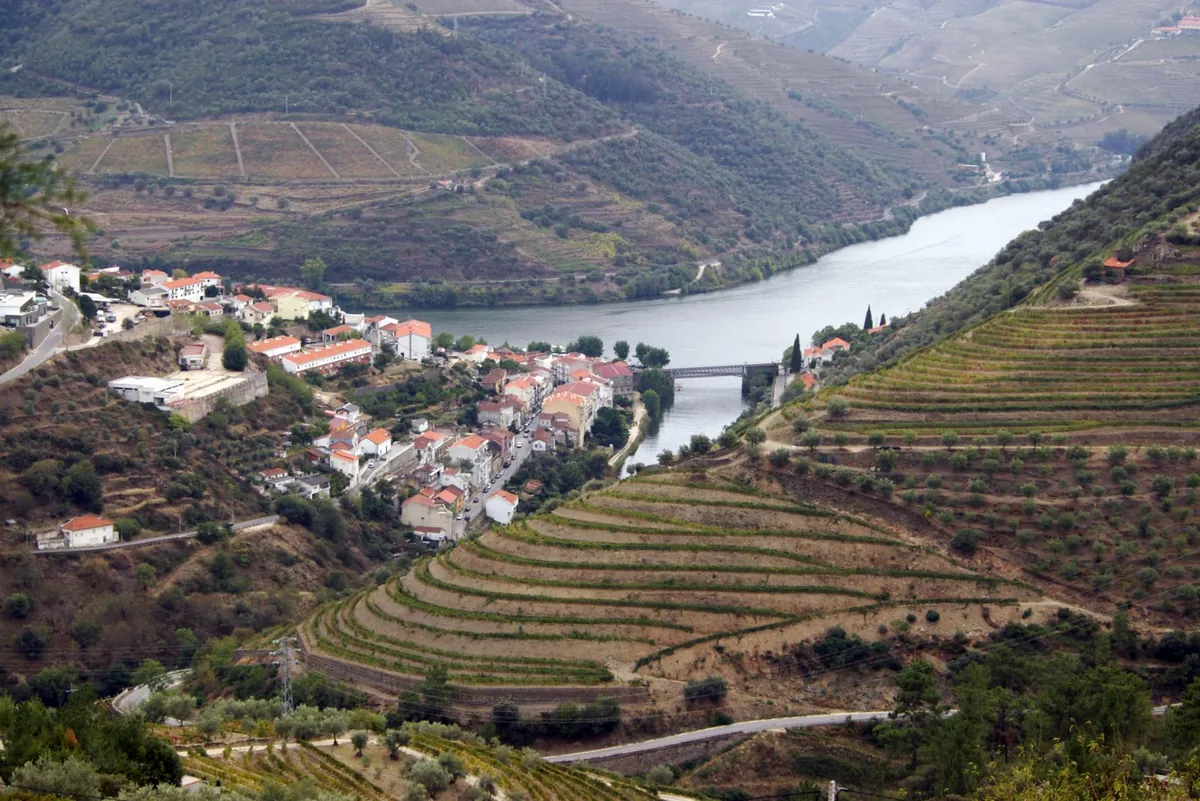 Douro Valley Wine Cruise travel 1