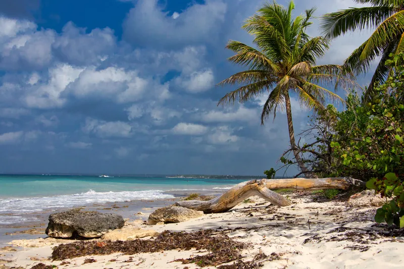 Punta Cana Beach Resort Break