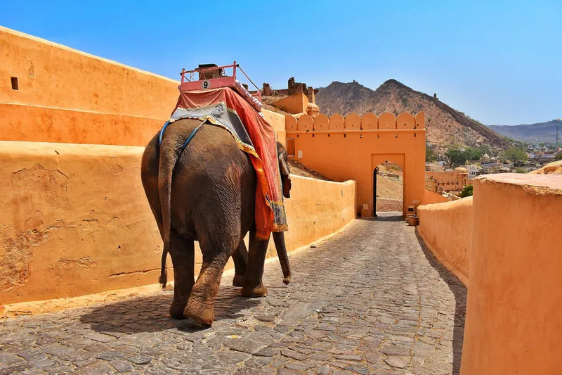 Rajasthan Royal Forts Trail