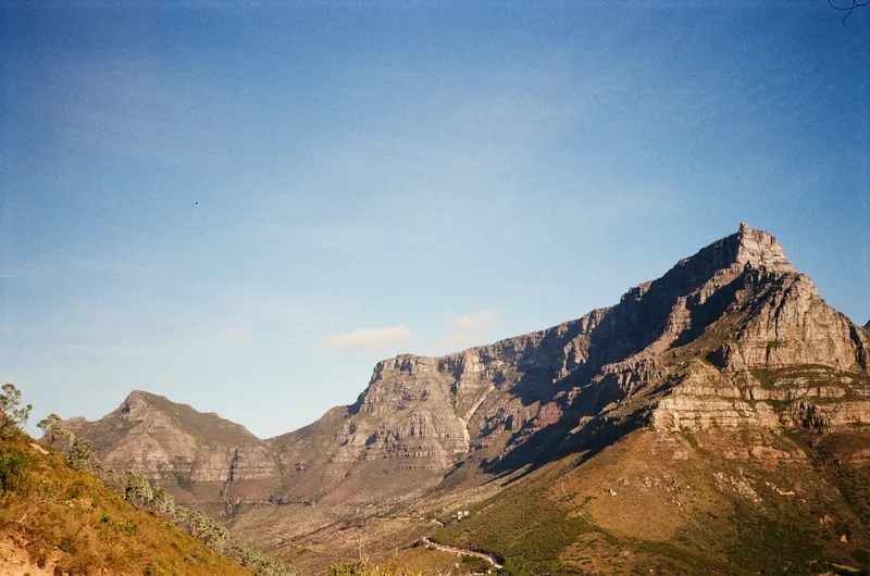 Cape Town Winelands + Peninsula