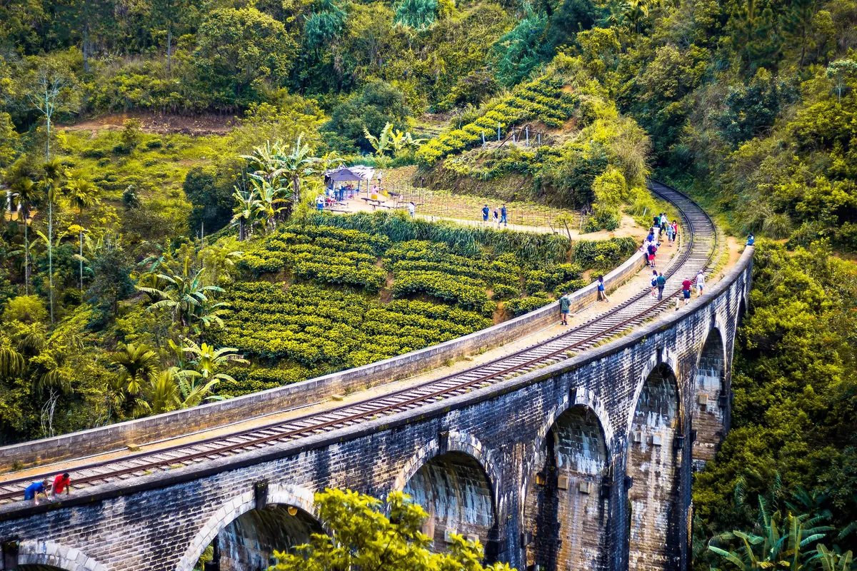 Ella Tea Country Rail travel 1