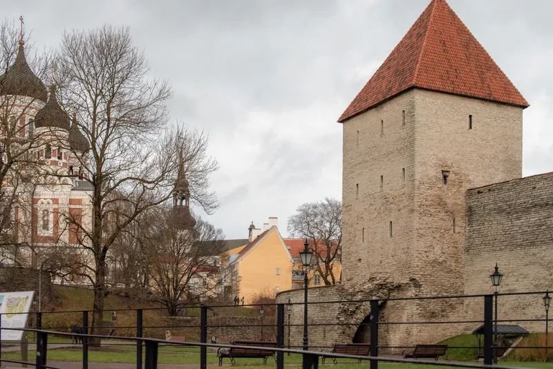 Tallinn to Saaremaa Island Hop