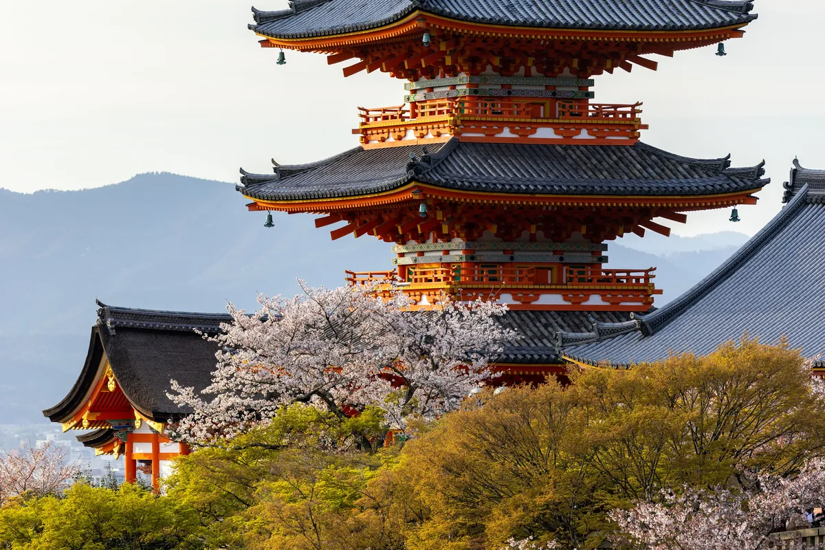 Tokyo + Kyoto Cherry Blossom travel 1