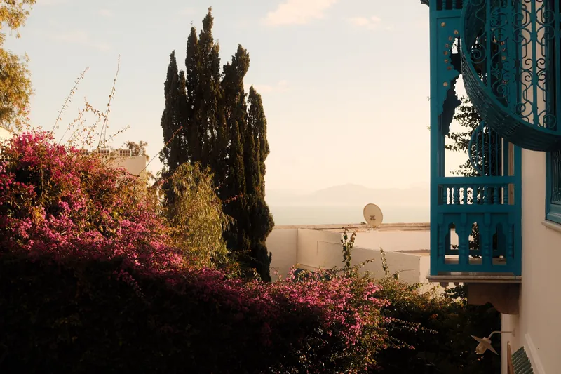 Tunis & Sidi Bou Said