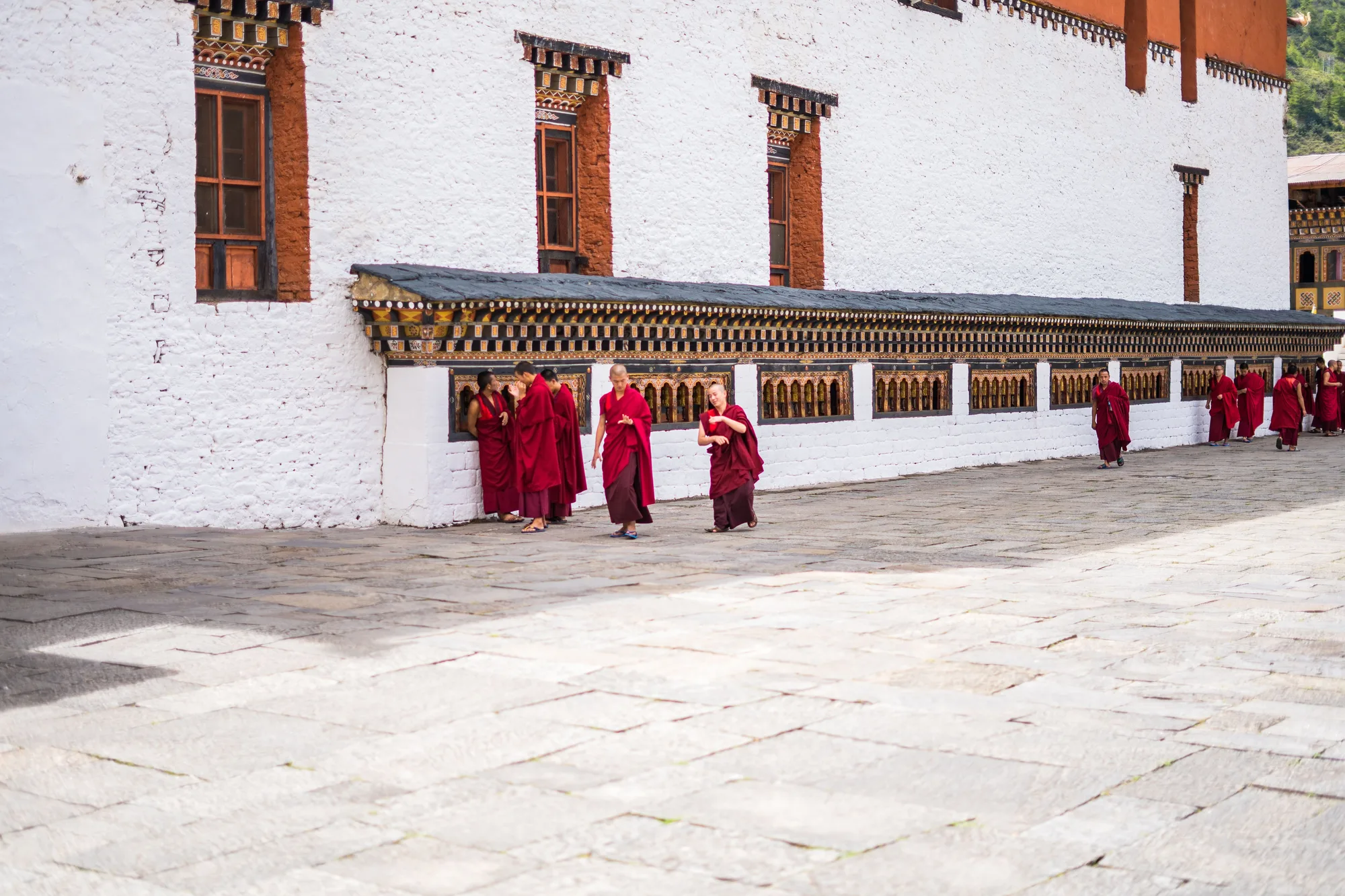Paro Valley travel 3