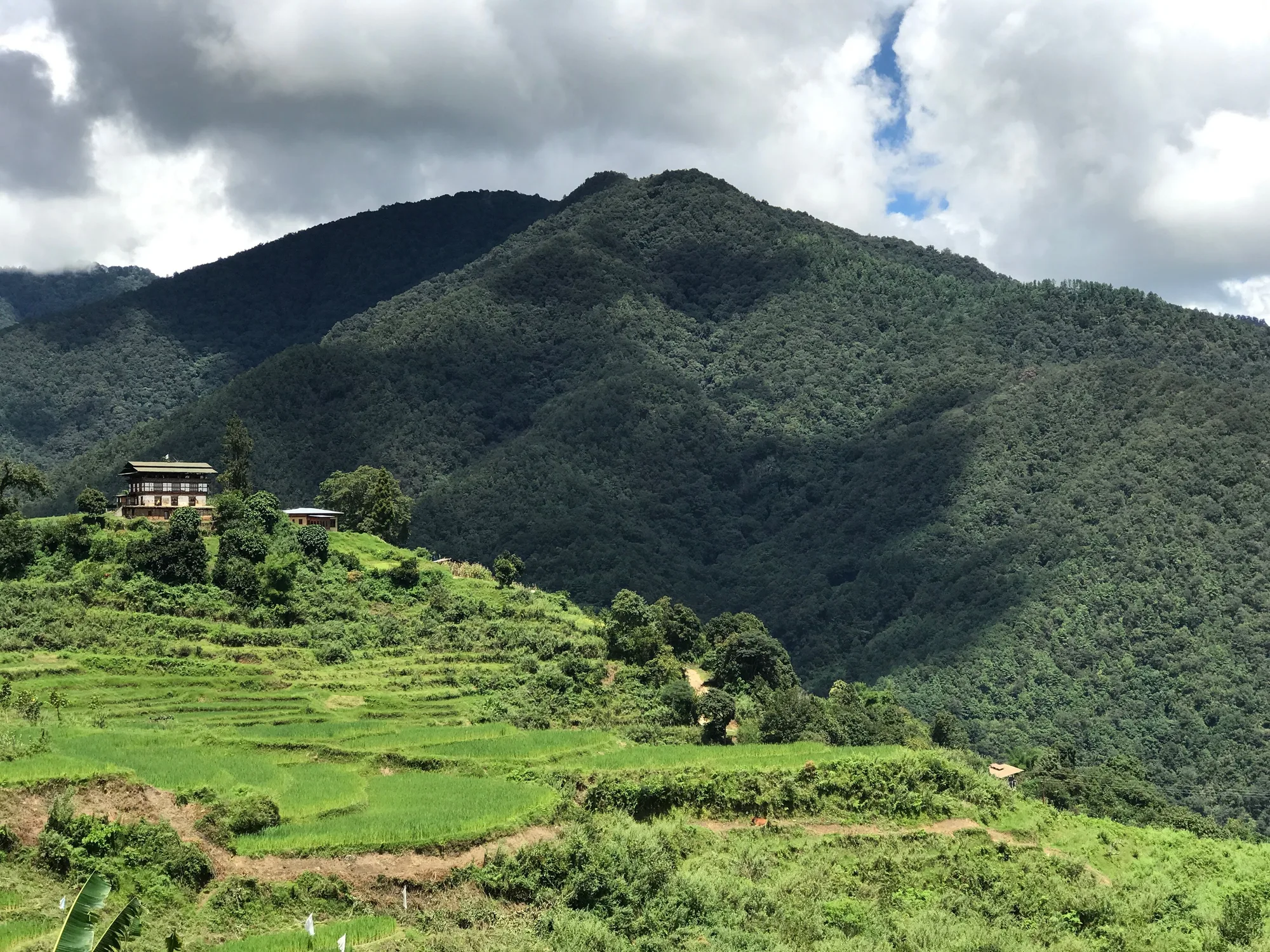 Punakha travel 3
