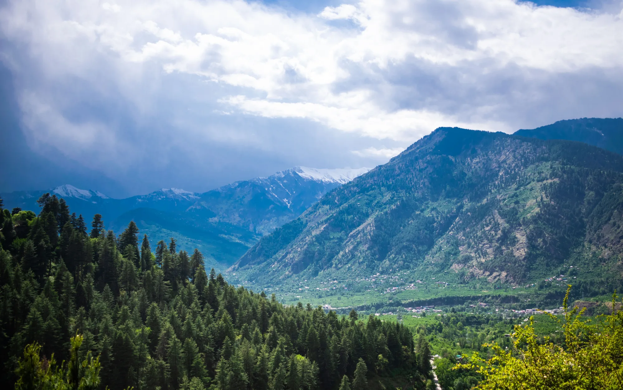 Himalayan Corporate Retreat: Manali
