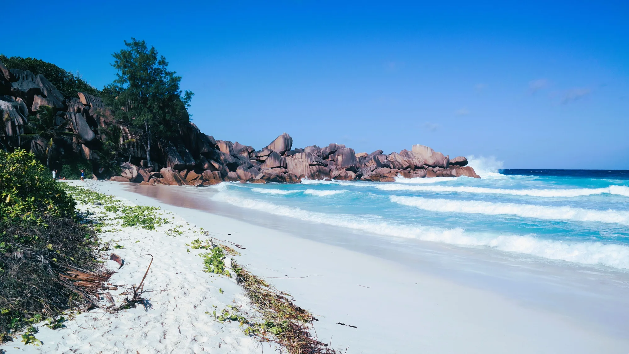 Praslin & Vallee de Mai travel 1