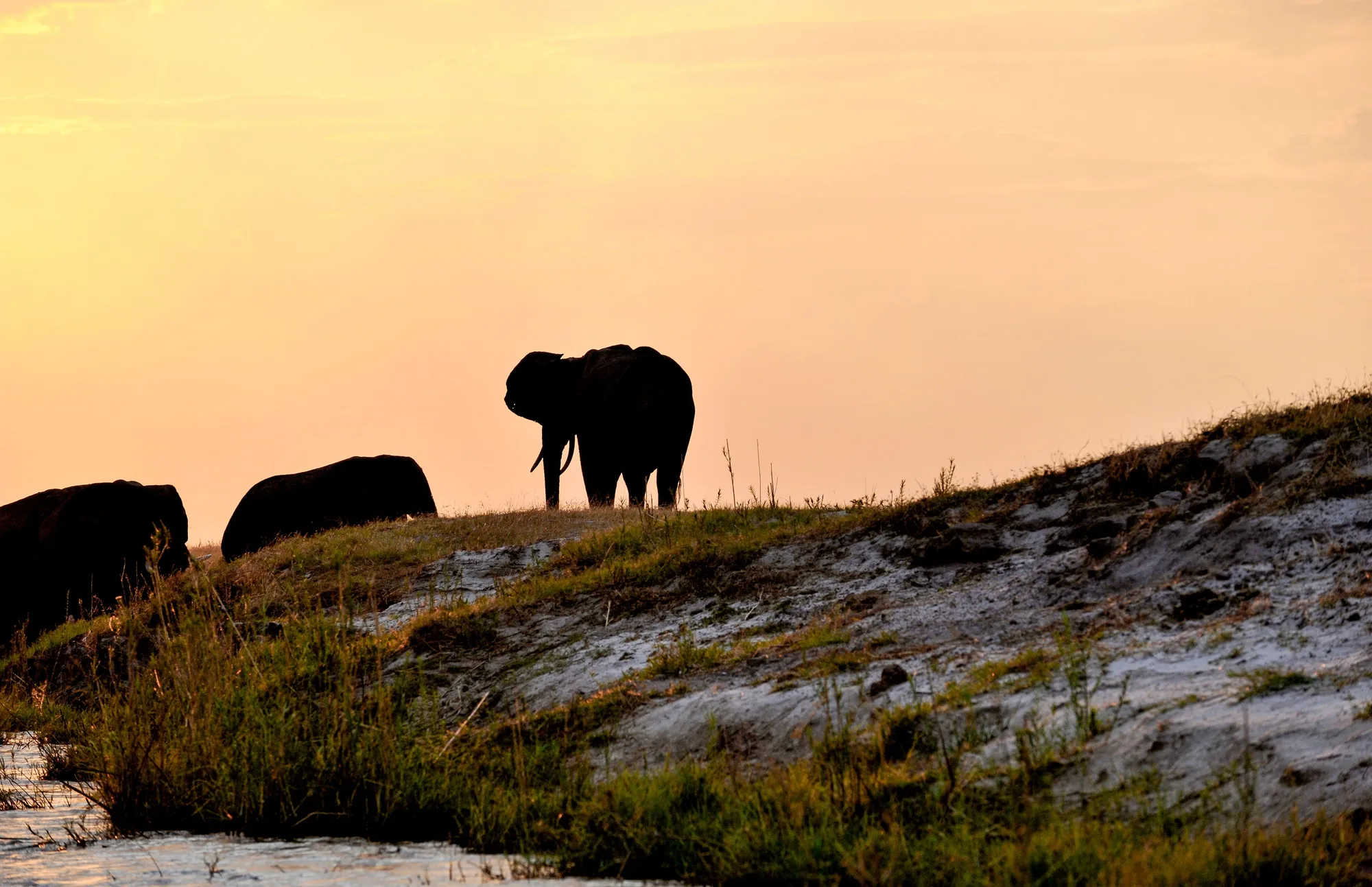 Chobe National Park travel 4