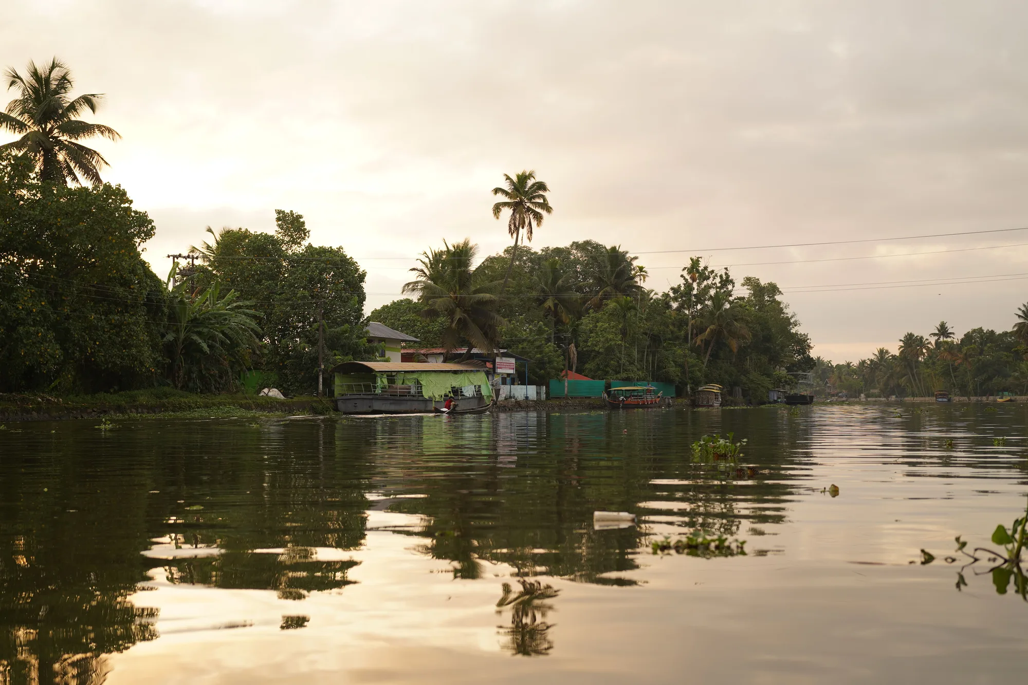 Kerala: Slow Boats & Spice Hills