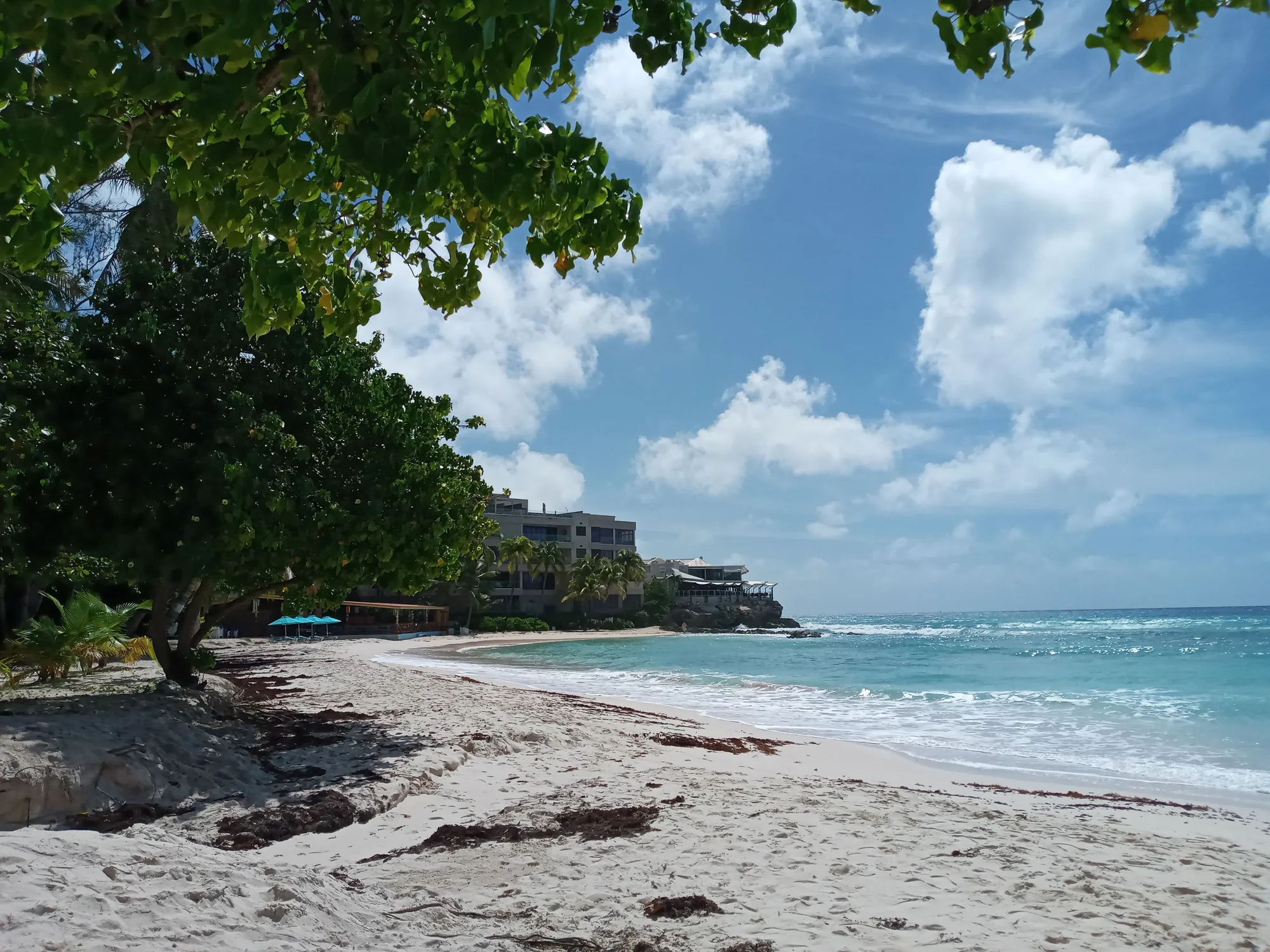 Bridgetown travel 1
