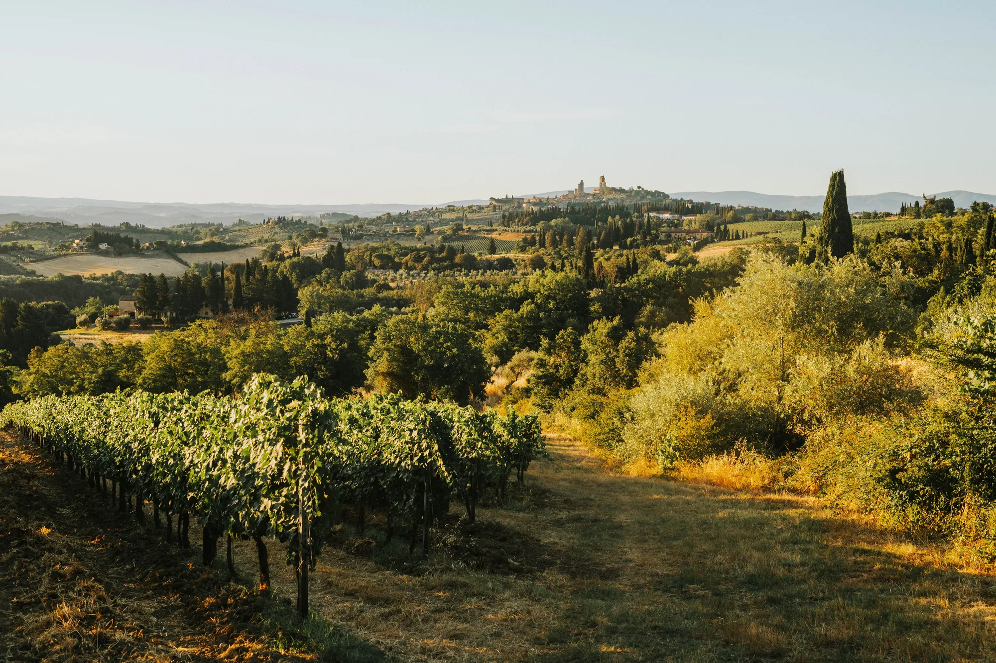 Tuscany Wine Country Retreat