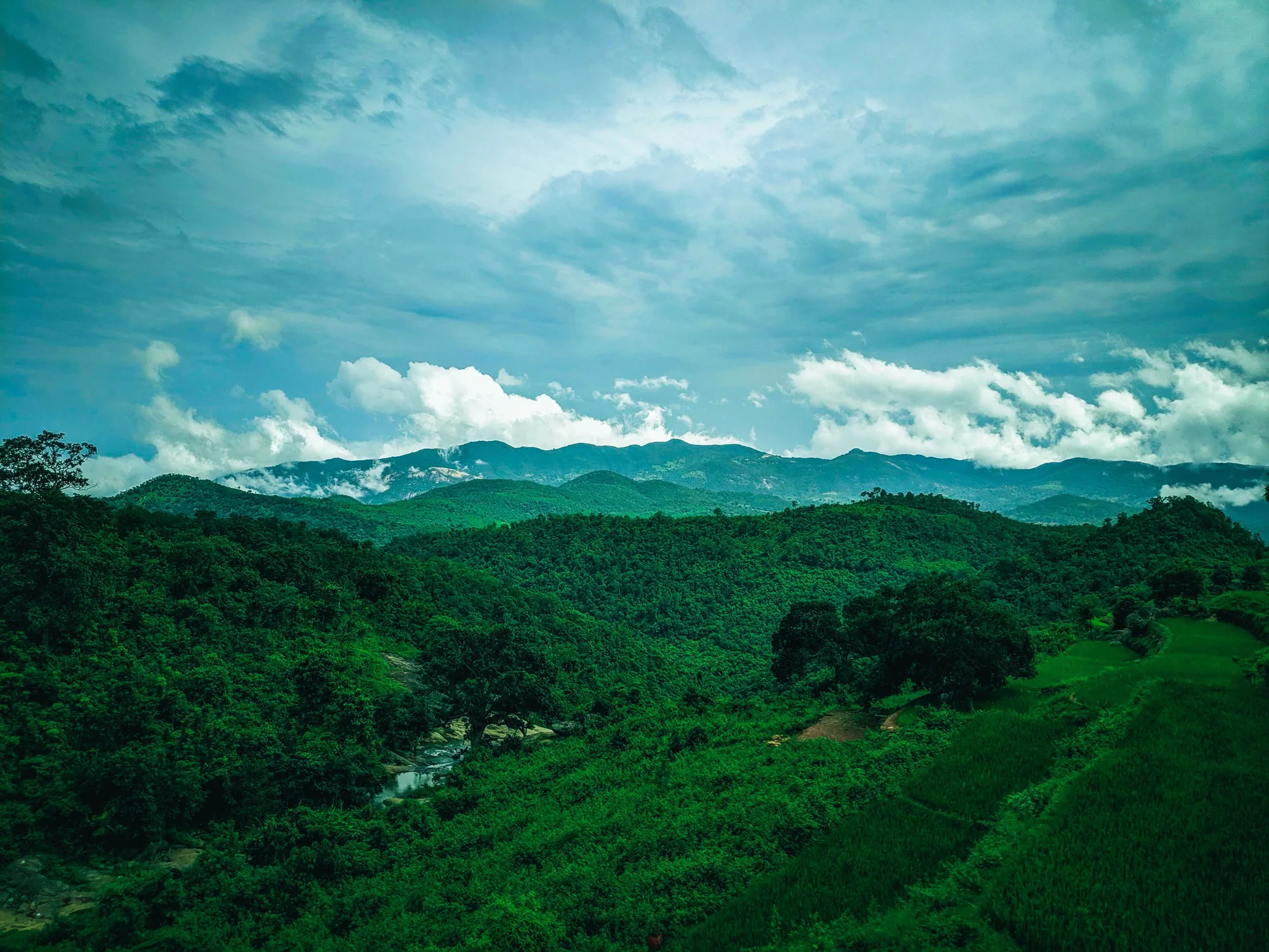 Araku Valley Coffee & Clouds