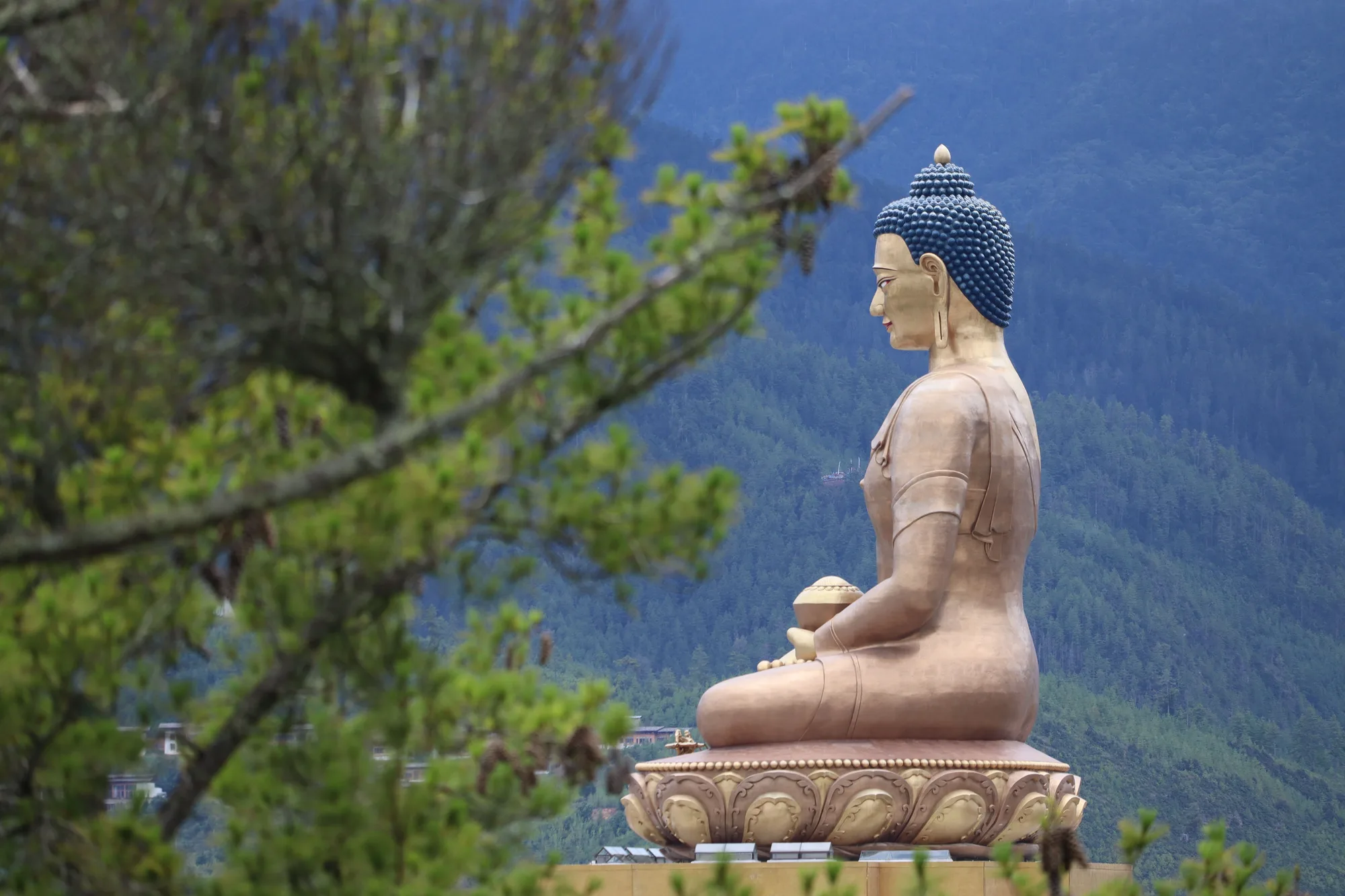 Thimphu travel 1