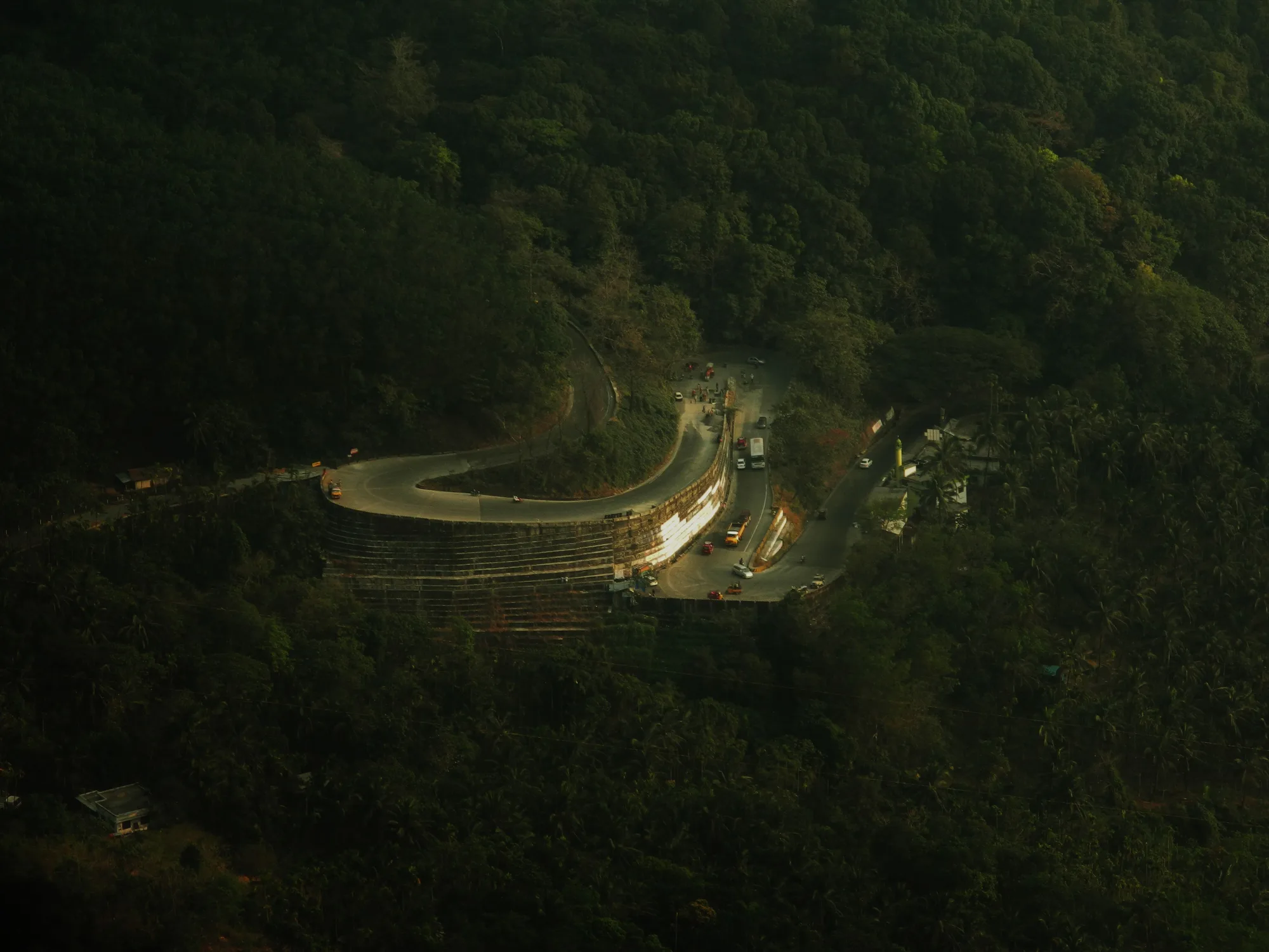 Wayanad Weekend Wildlife Escape