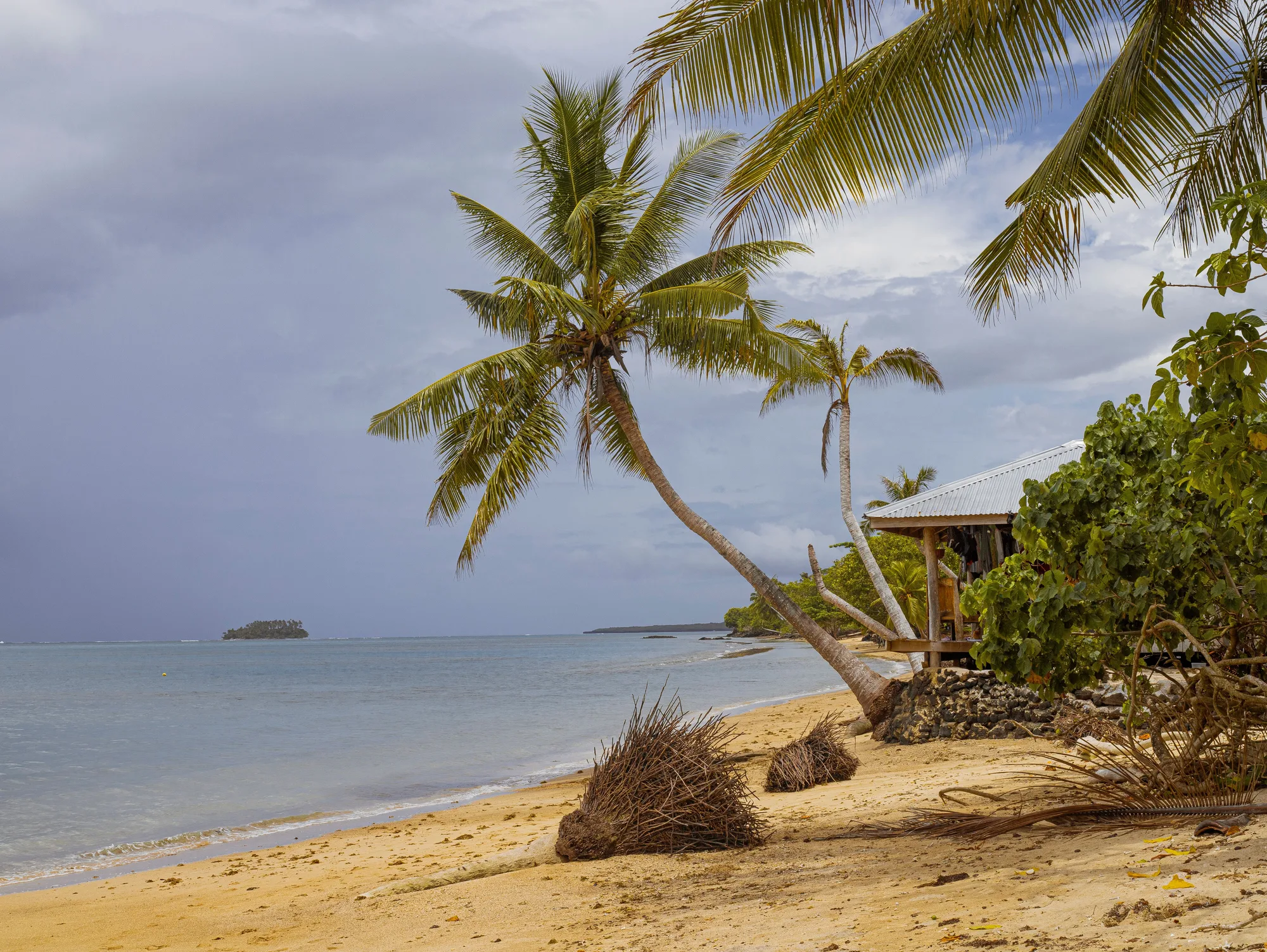 Apia travel 1