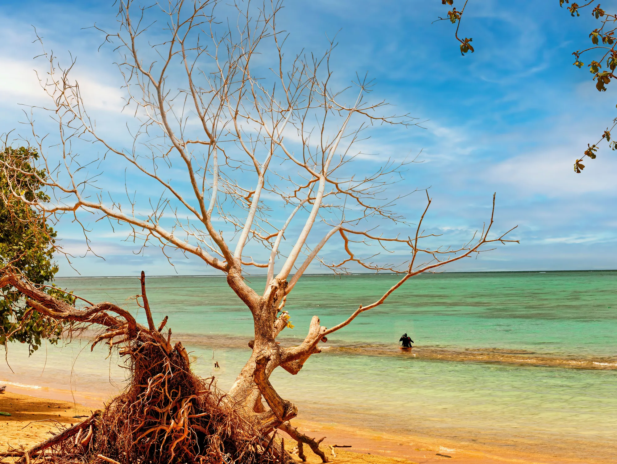 Apia travel 2