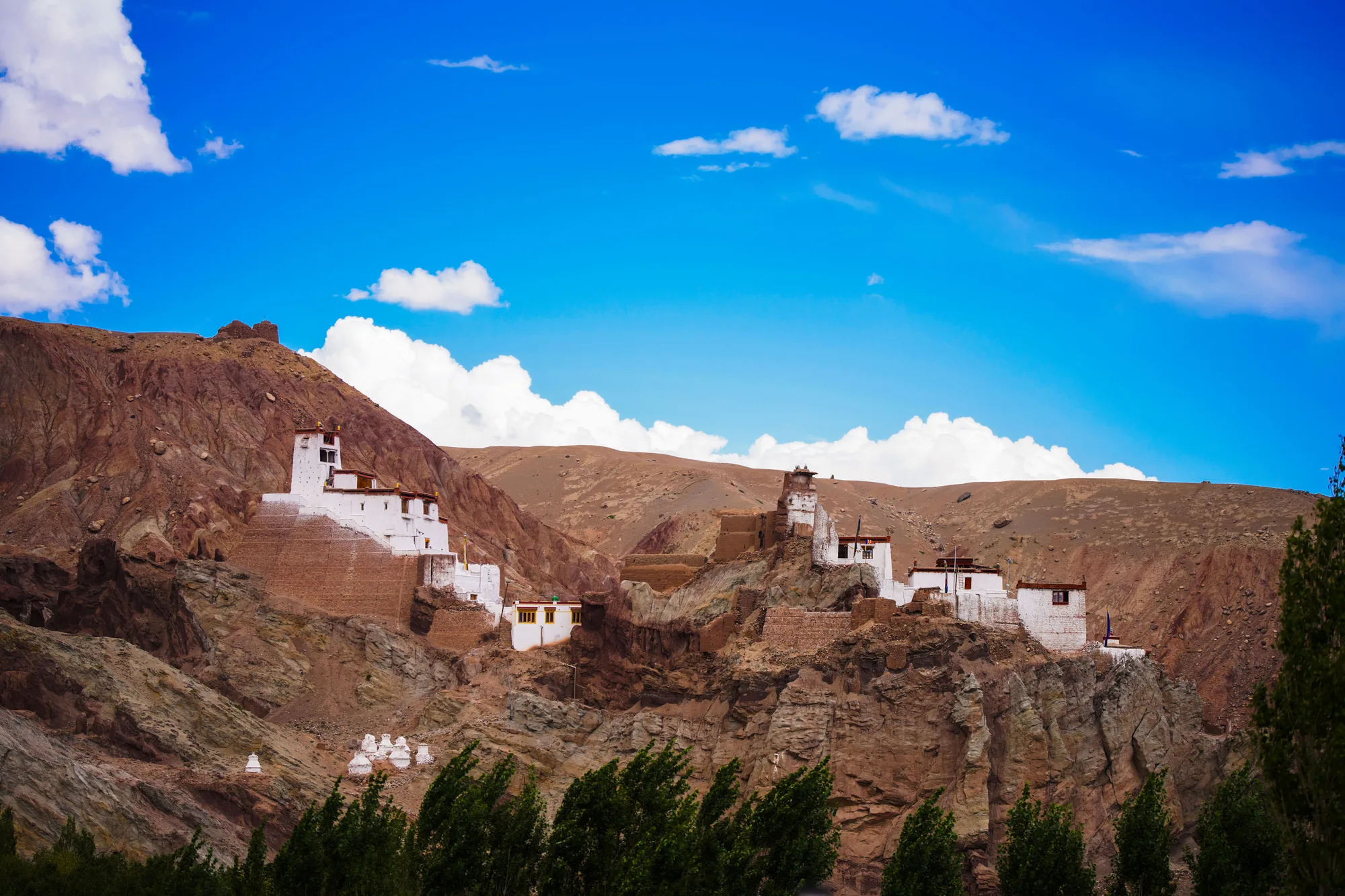 Ladakh Monastery Trail