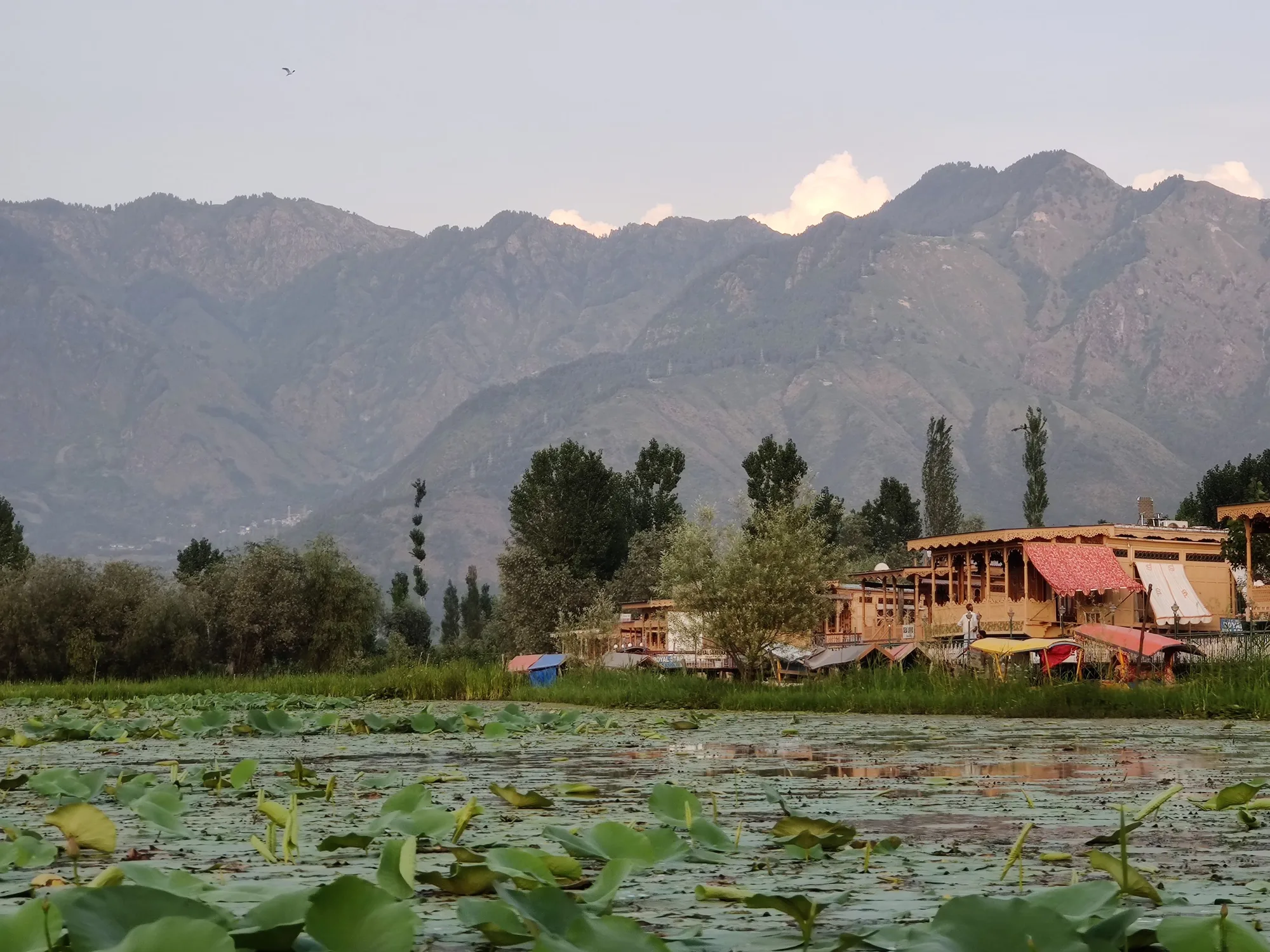 Kashmir & Vaishno Devi: Pilgrimage Meets Paradise