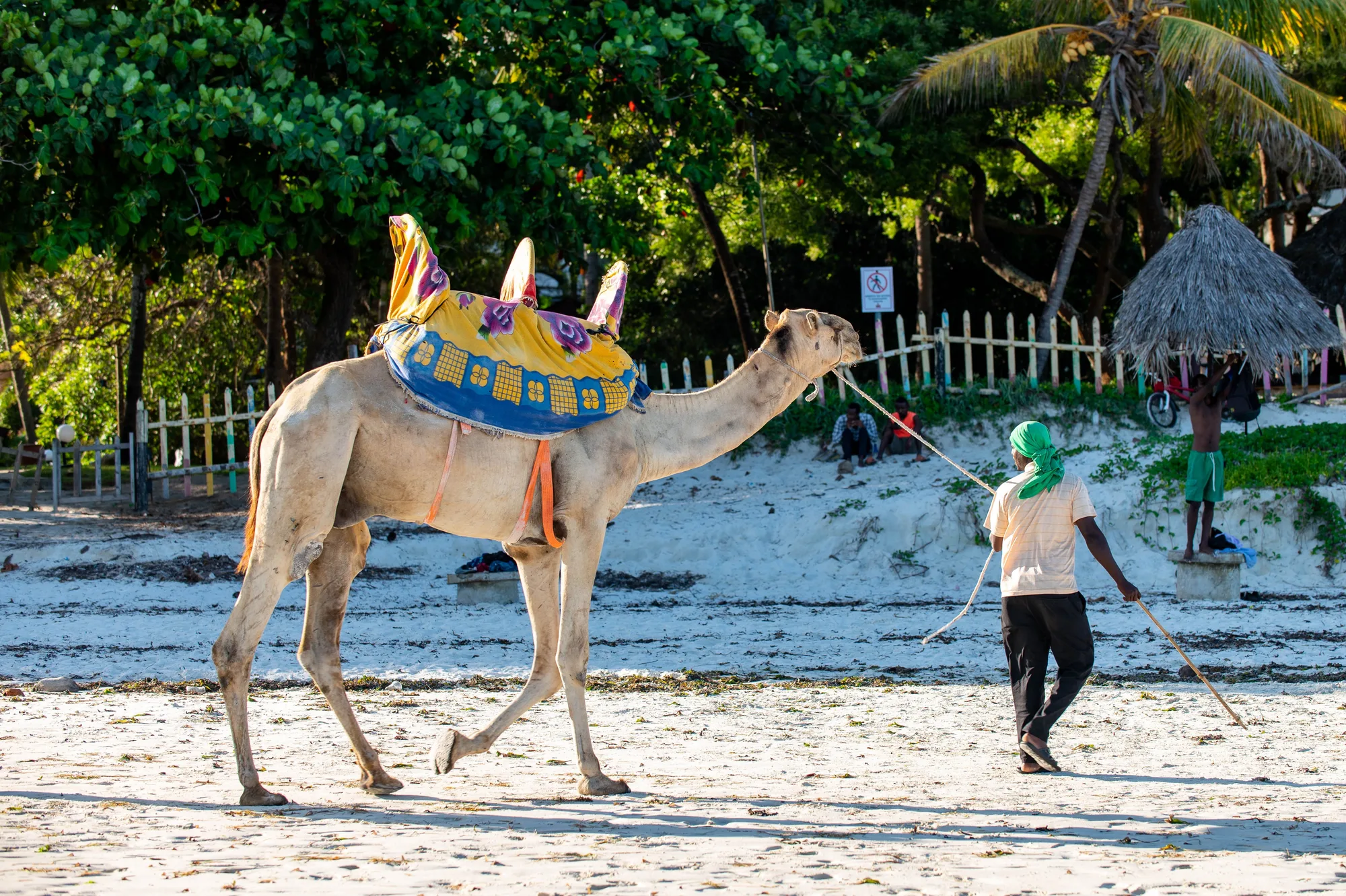 Diani Beach travel 2
