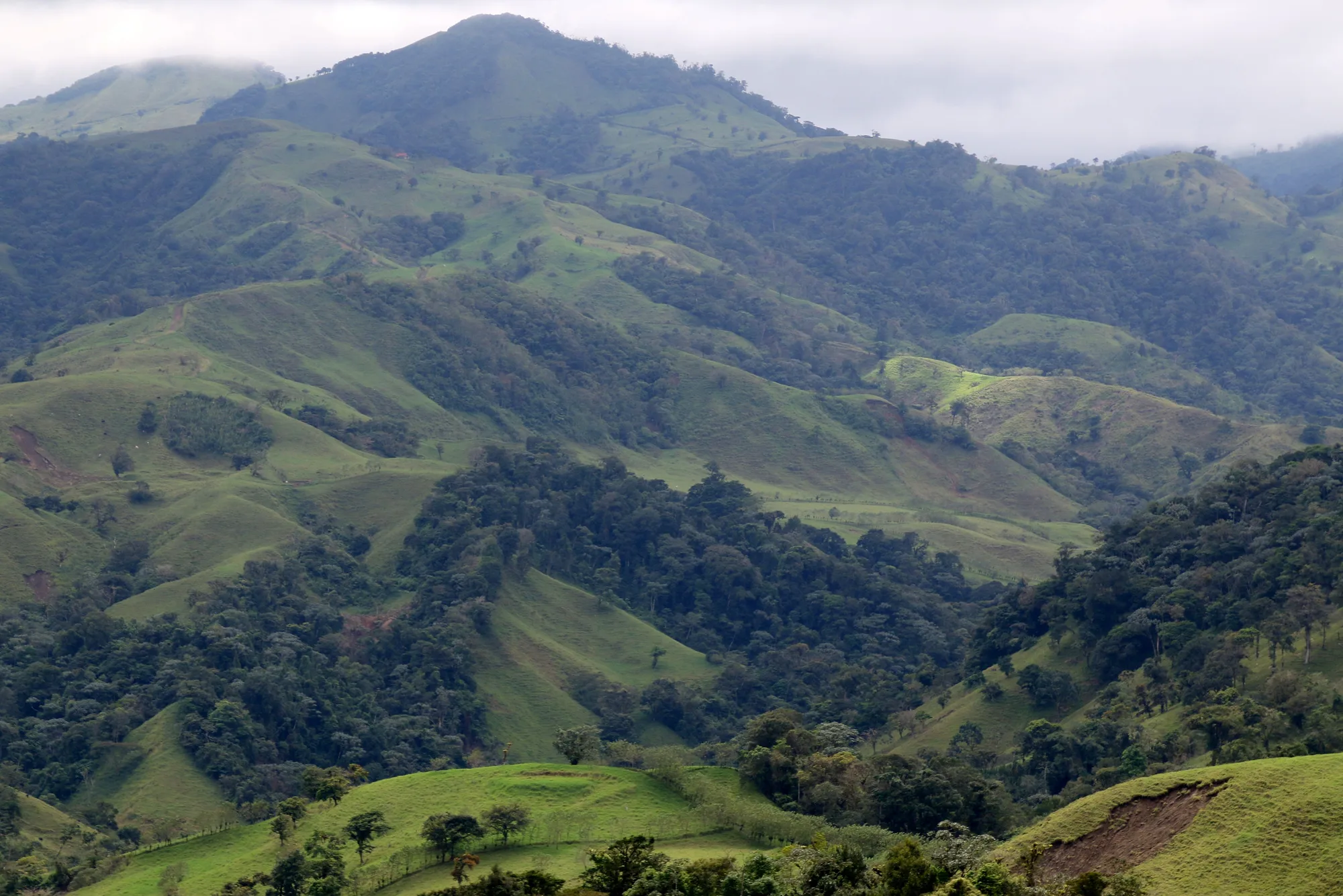 Monteverde Cloud Forest travel 4