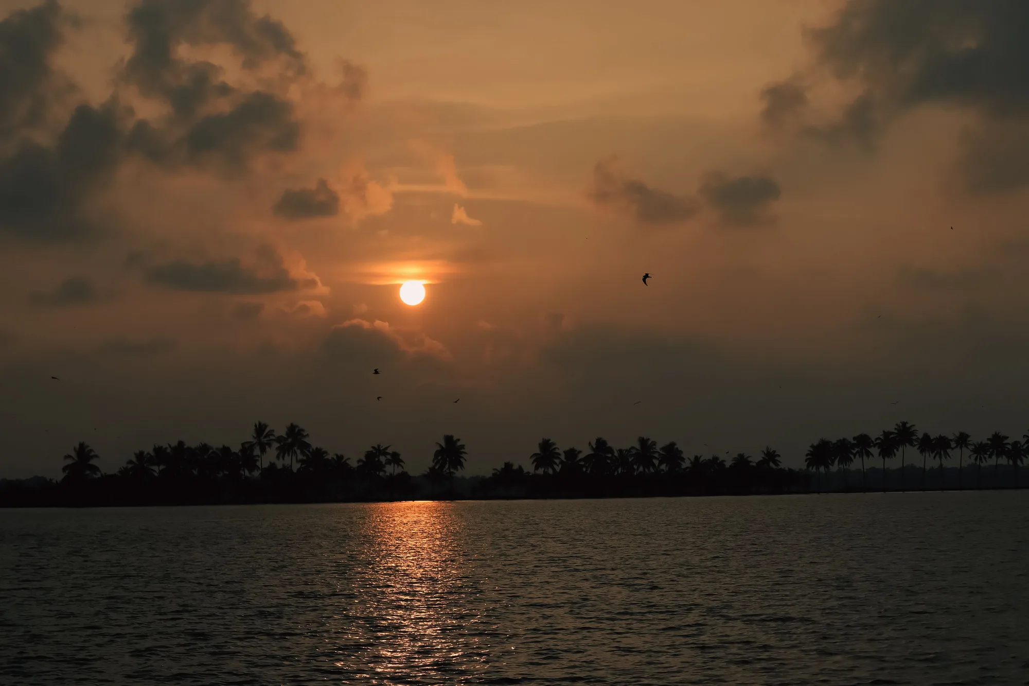 Kerala Backwater Bliss