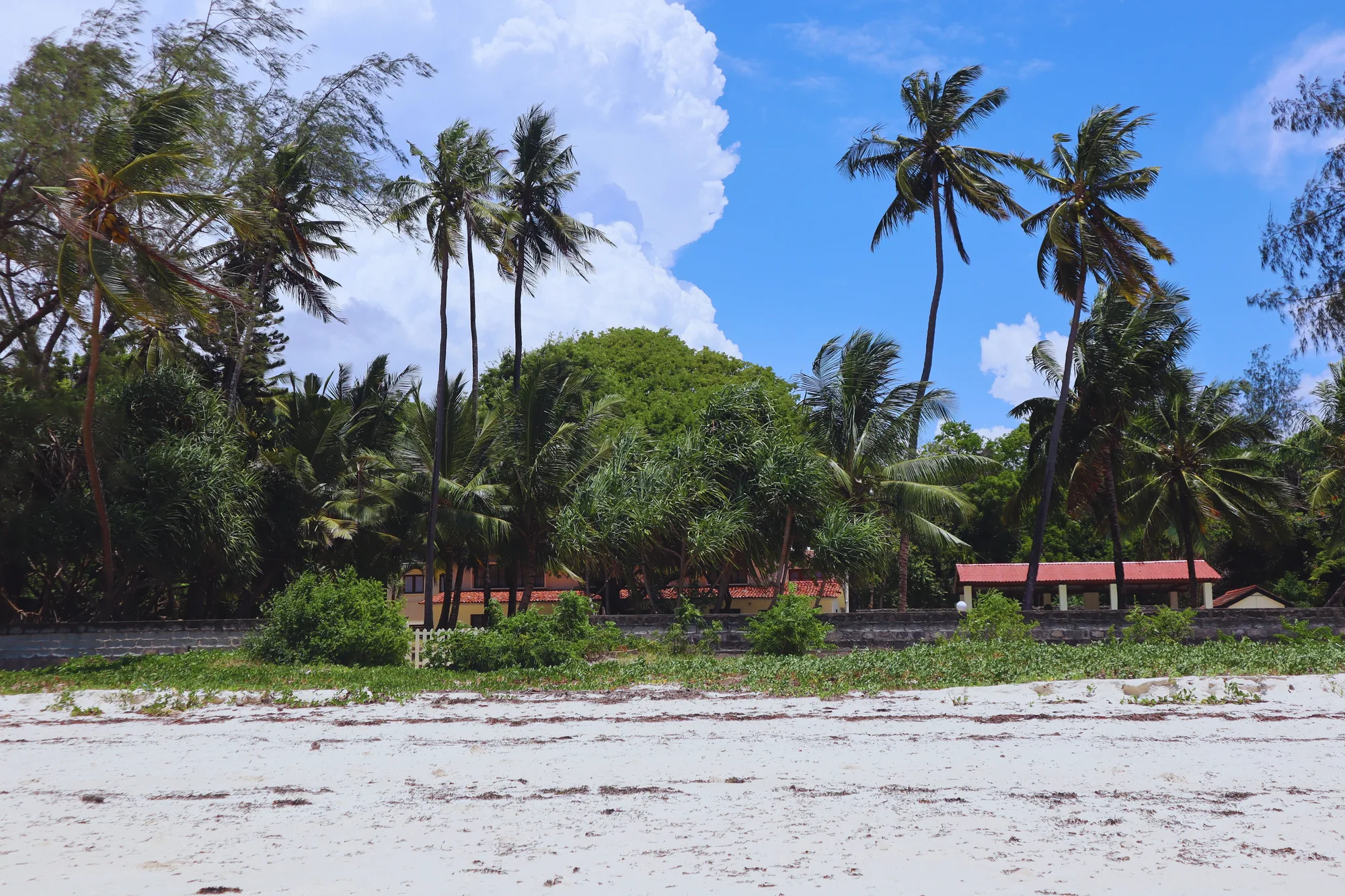Diani Beach travel 1
