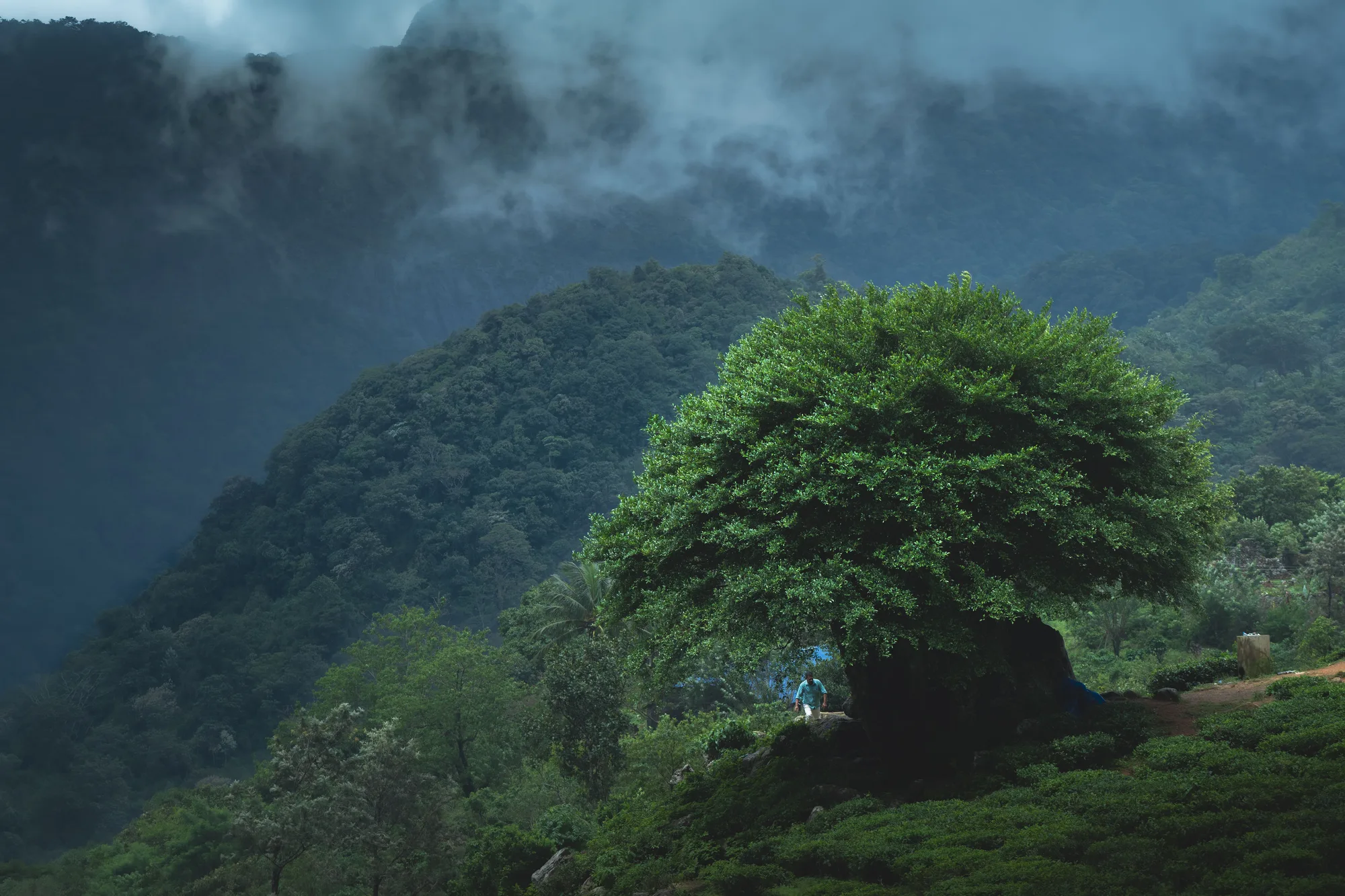Kerala-Karnataka Monsoon Magic