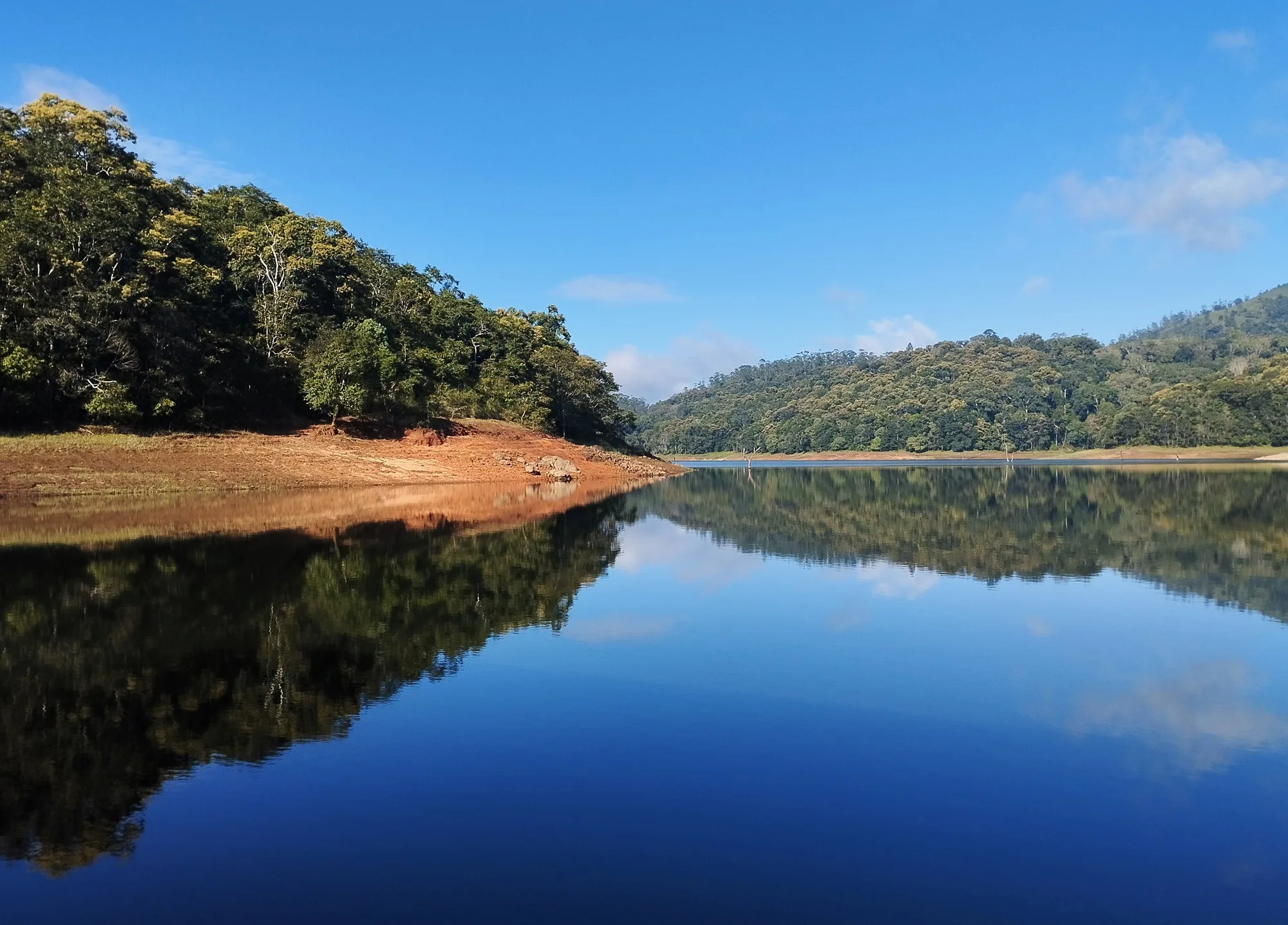 Thekkady-Munnar Honeymoon Trail