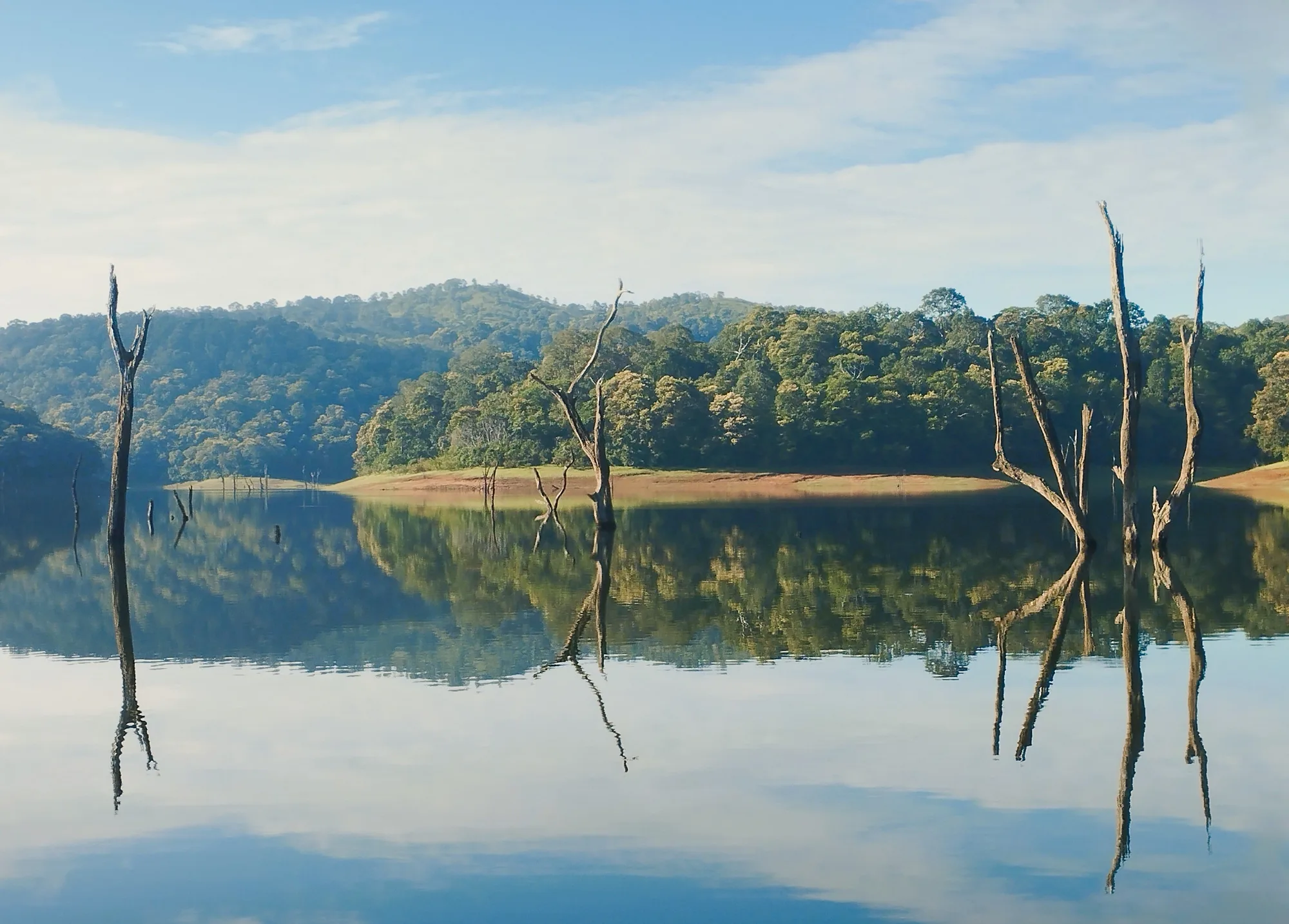 Thekkady Spice & Periyar Trail
