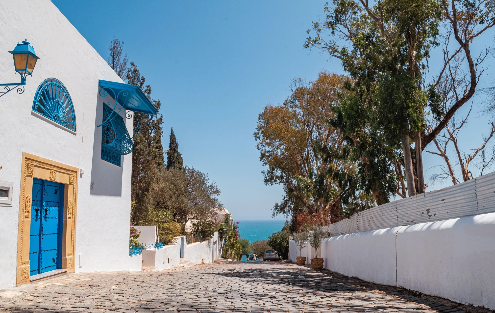 Tunis & Sidi Bou Said travel 3
