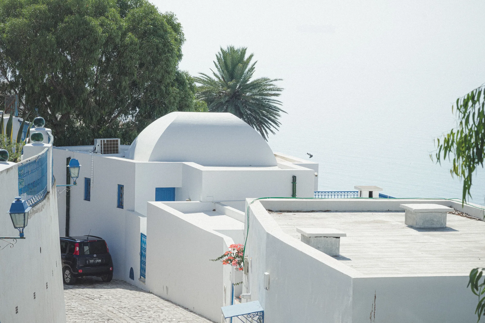 Tunis & Sidi Bou Said travel 1