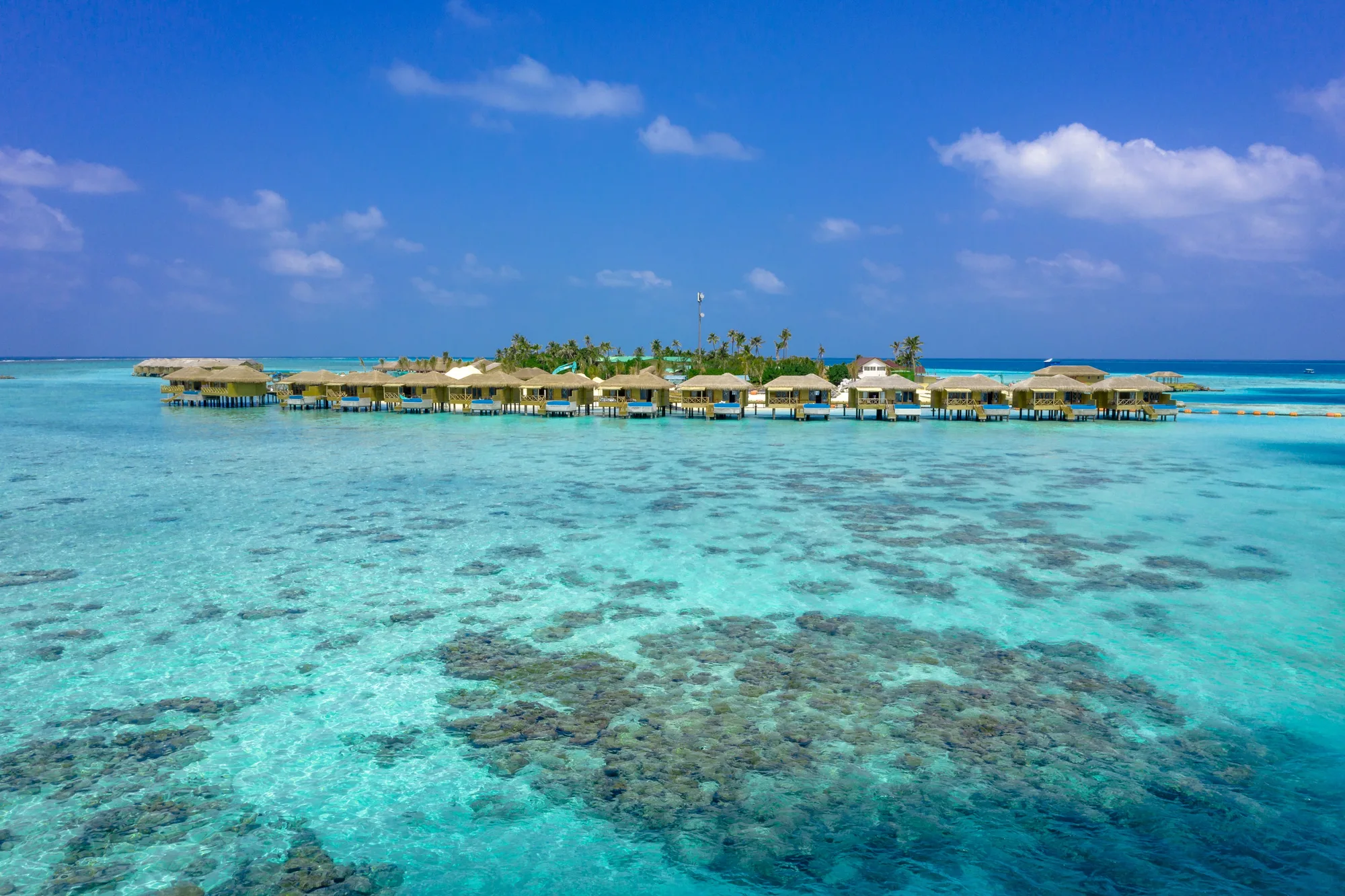 Maldives Family Reef Explorer