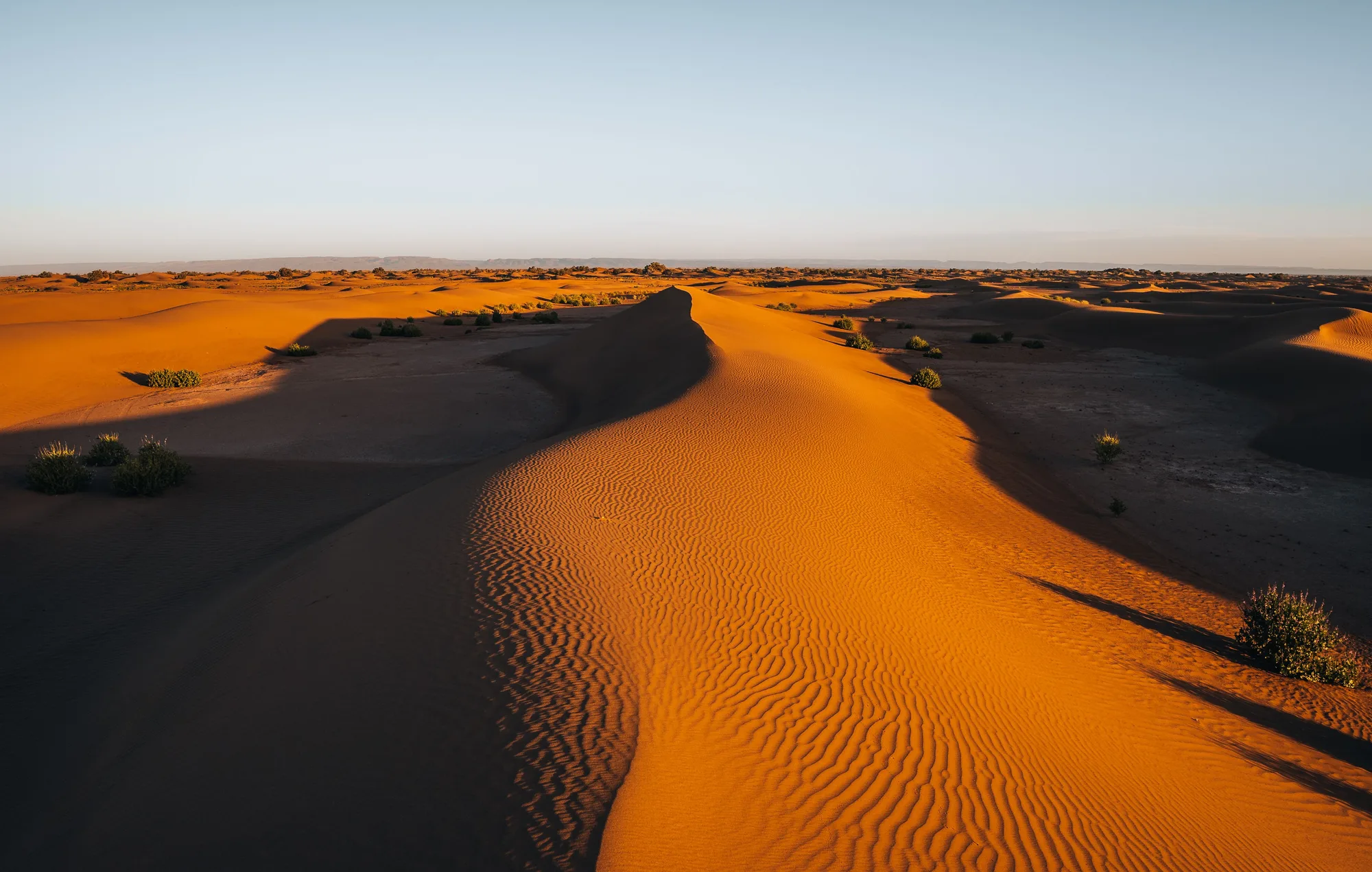 Morocco Desert Odyssey