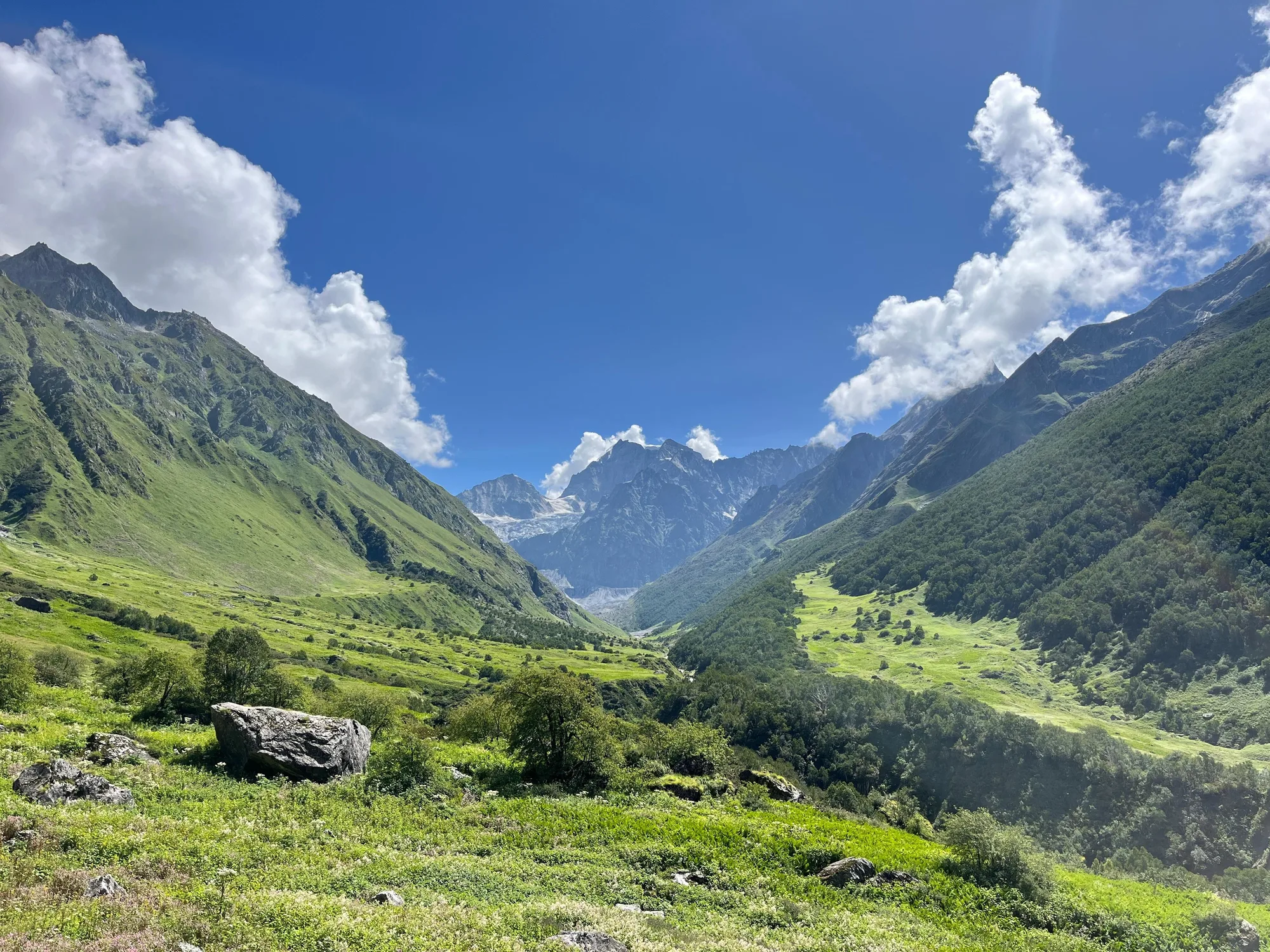 Valley of Flowers Trek