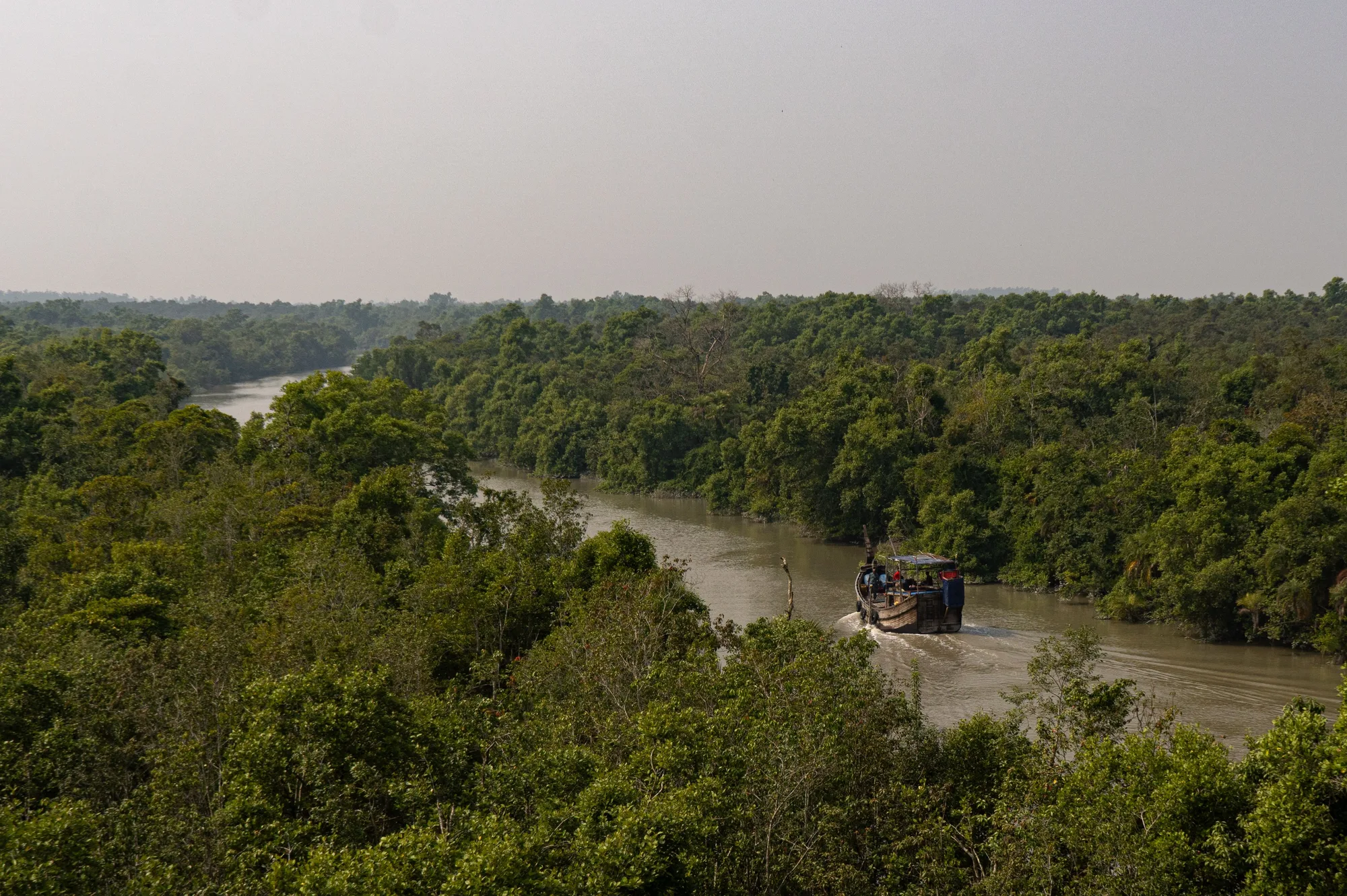 Sundarbans travel 3