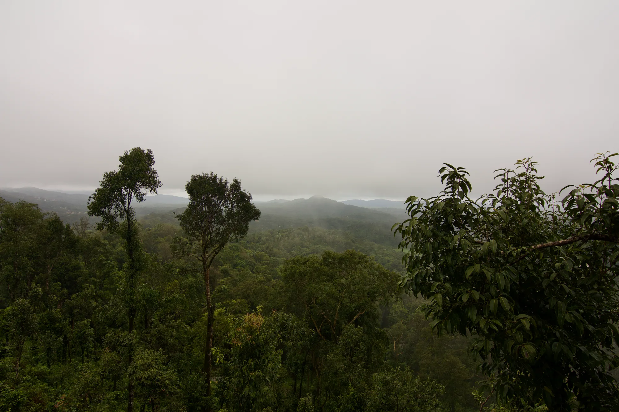 Coorg Adventure Trek — 2 Nights / 3 Days