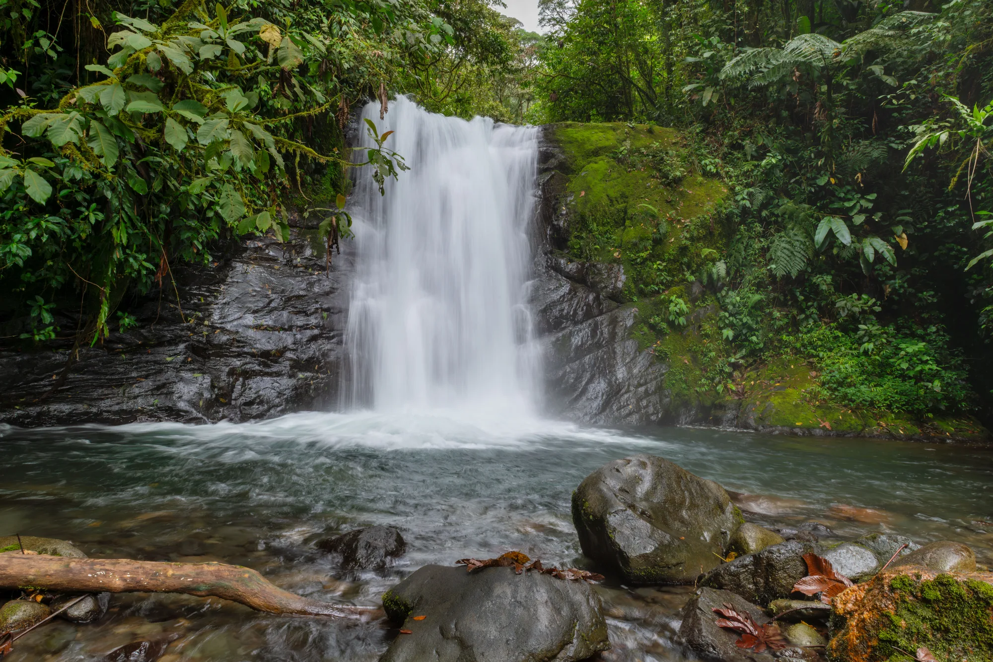 Monteverde Cloud Forest travel 3