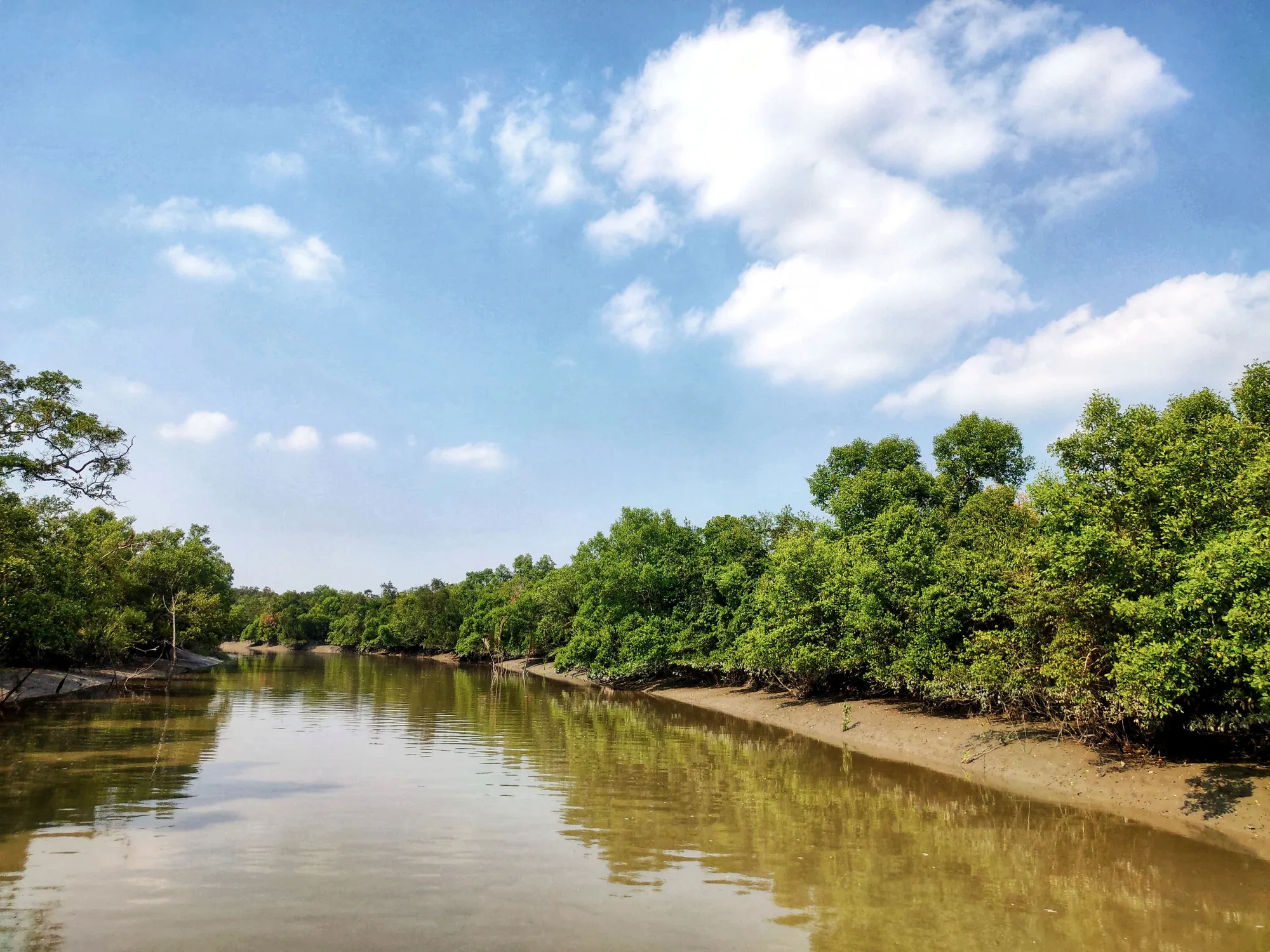 Sundarbans travel 4